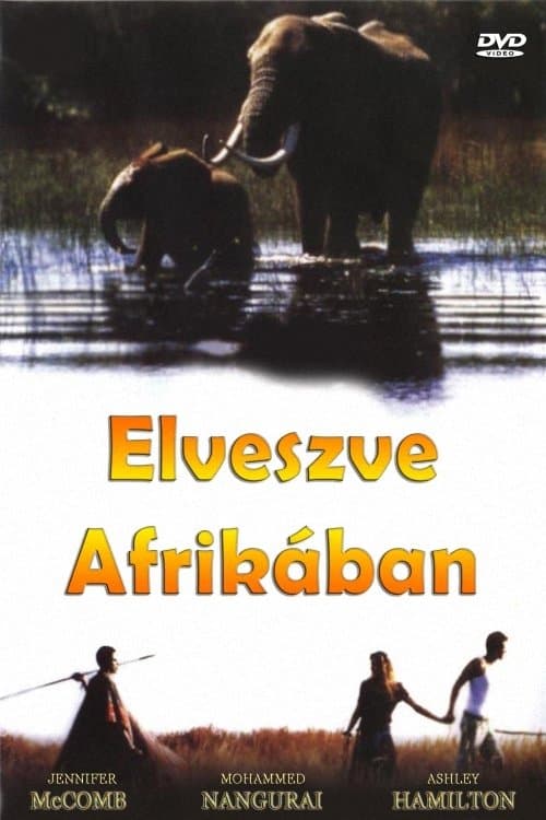 Lost in Africa photo