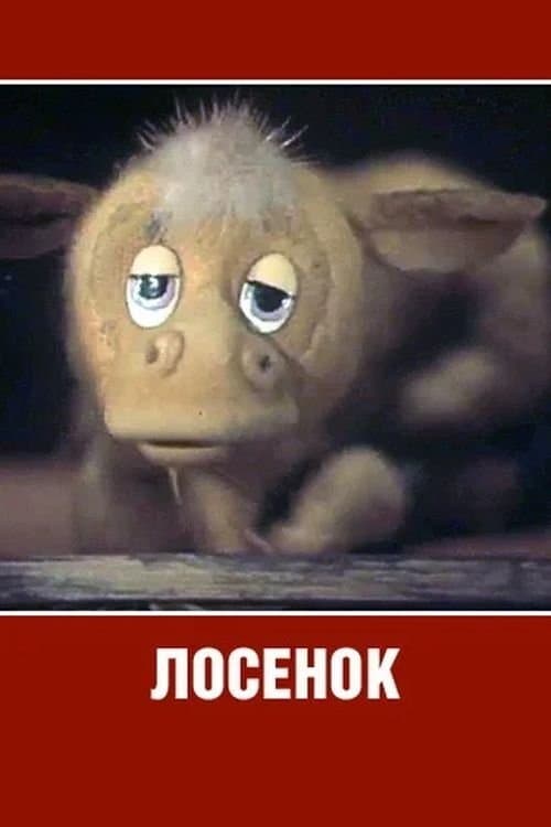 Losyonok photo
