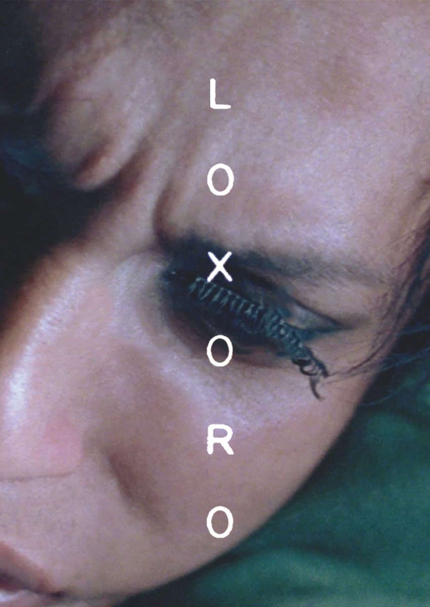 Loxoro photo