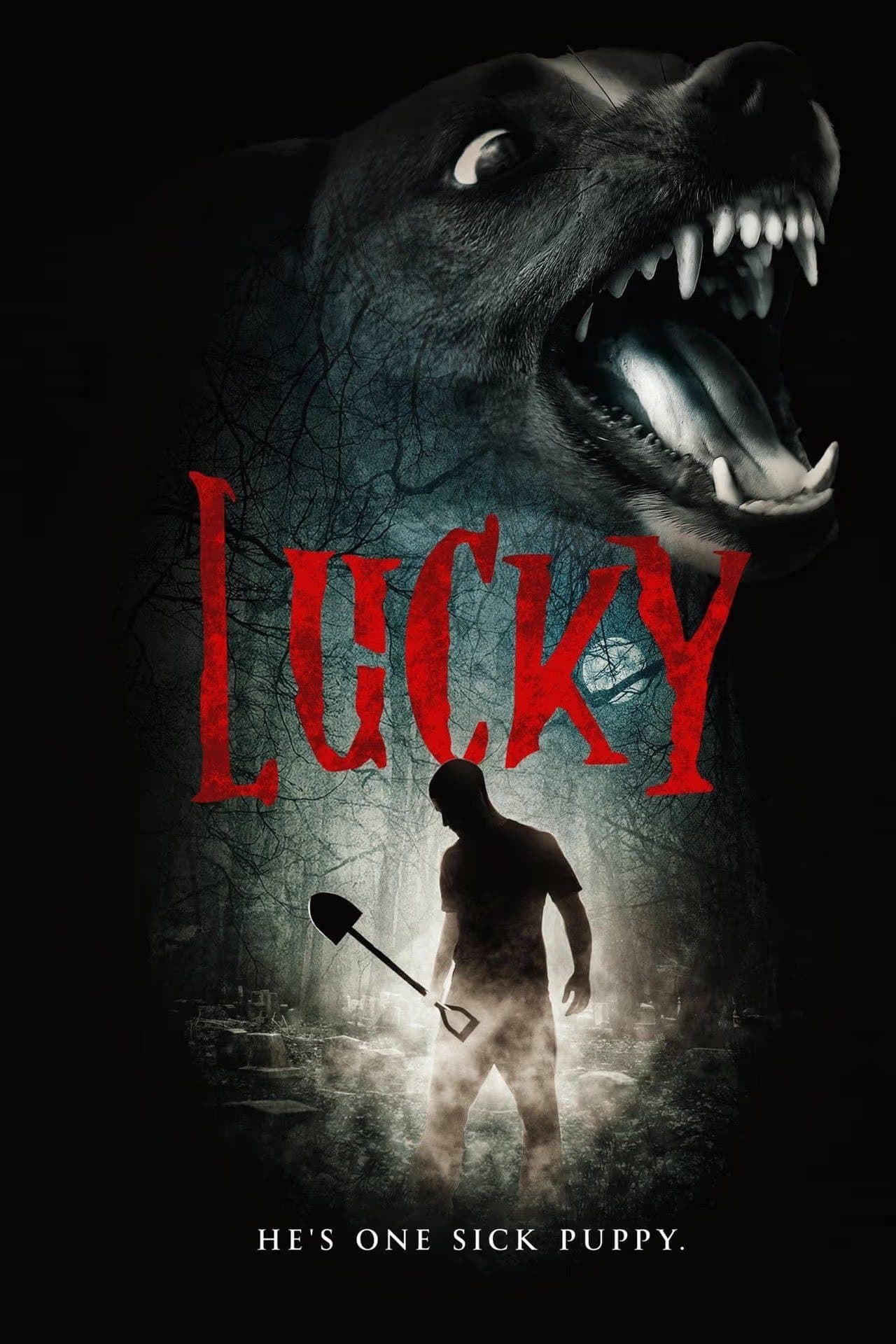 Lucky photo