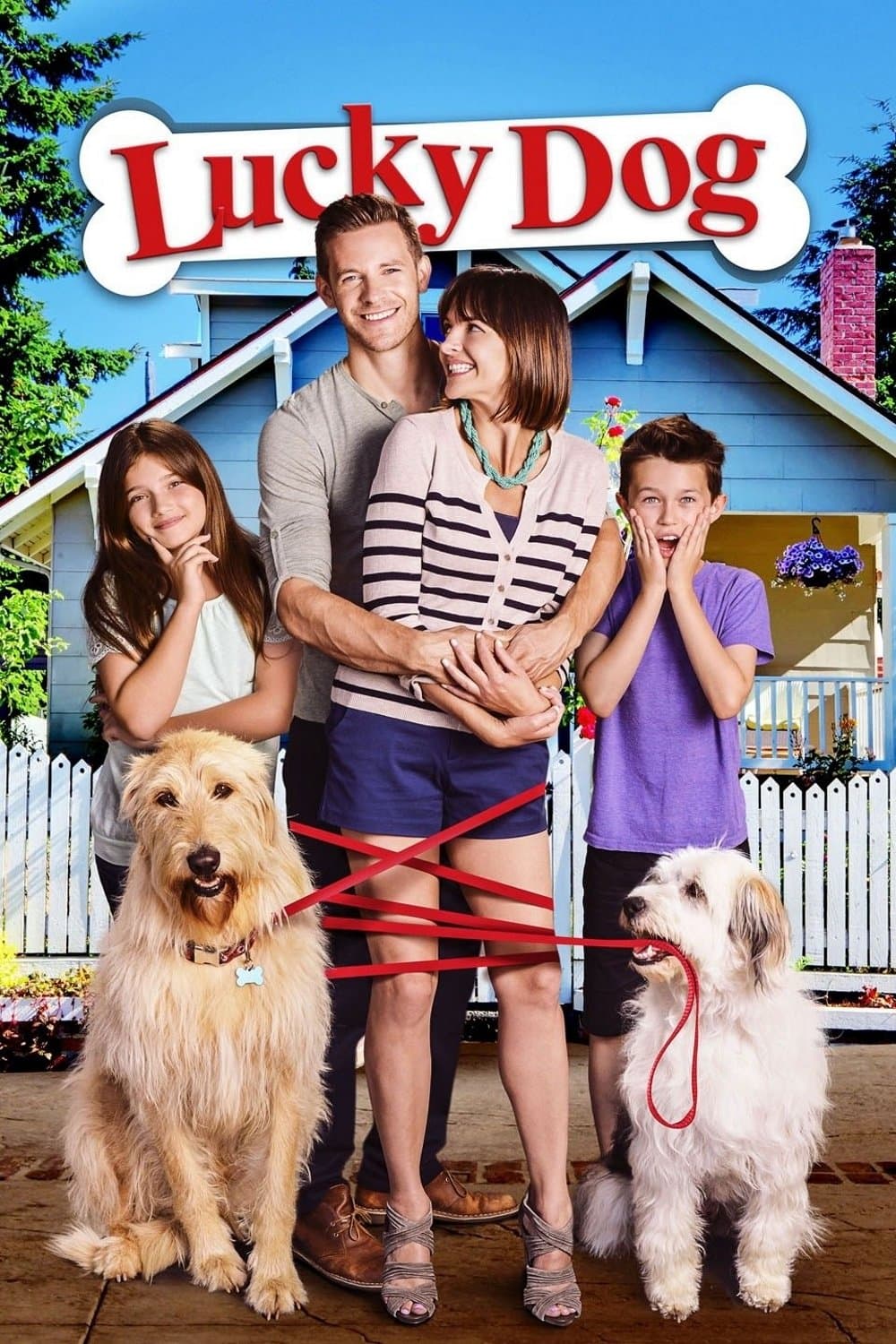 Lucky Dog photo