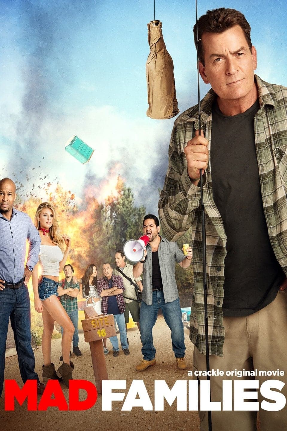 Mad Families photo