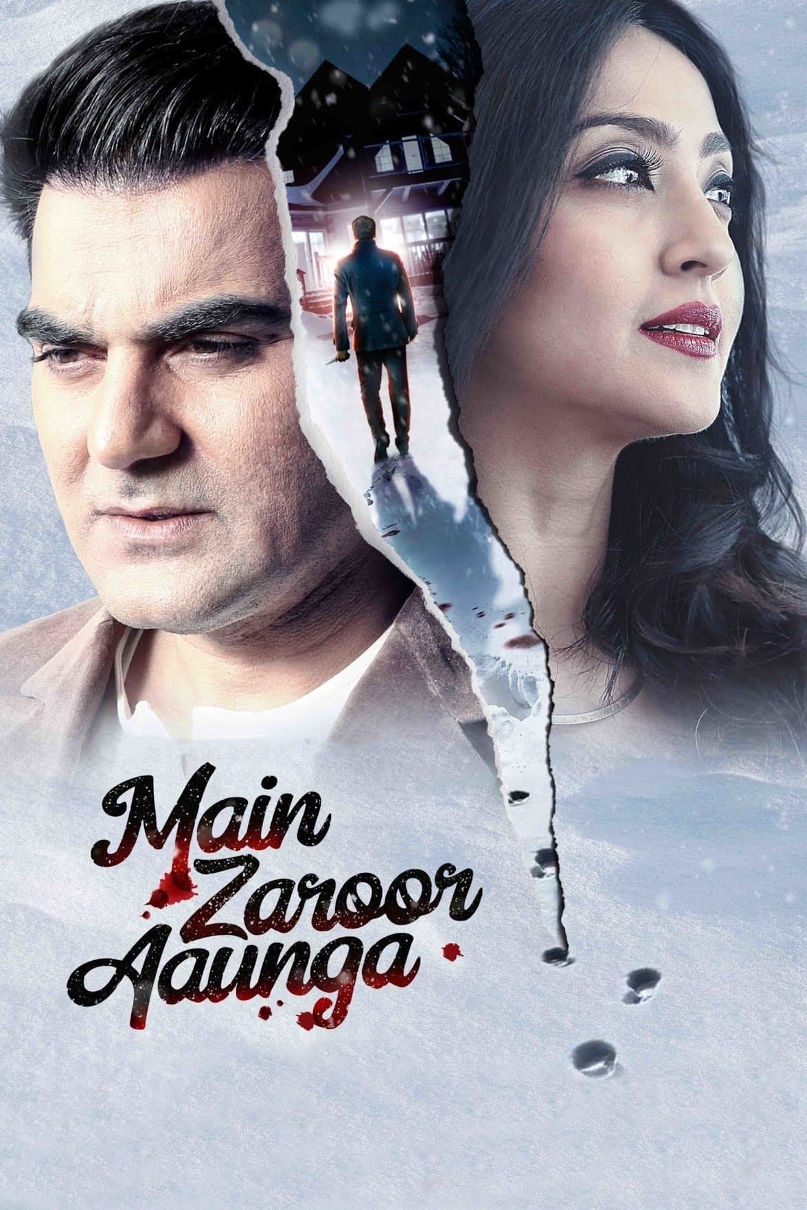 Main Zaroor Aaunga photo