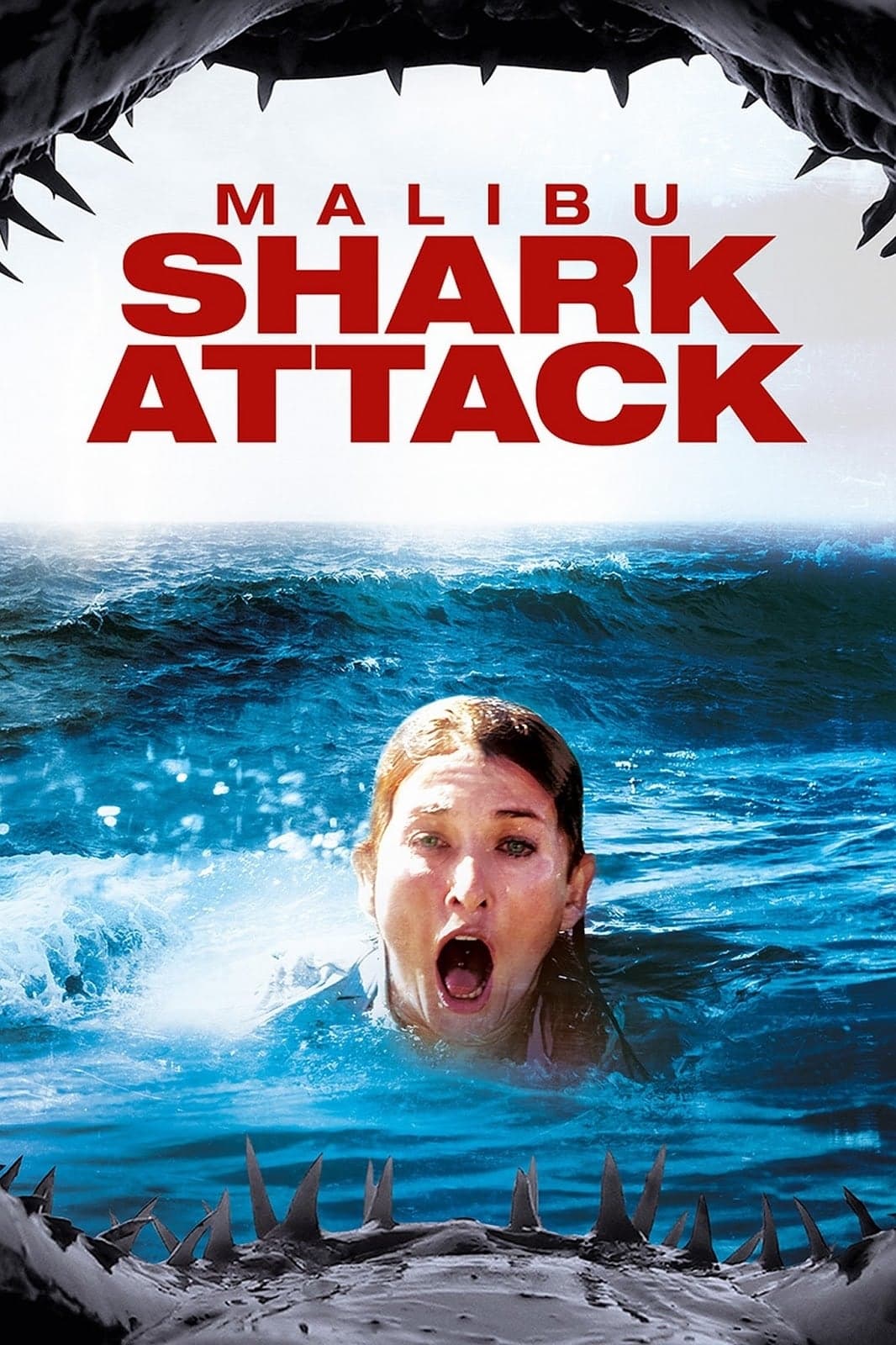 Malibu Shark Attack photo
