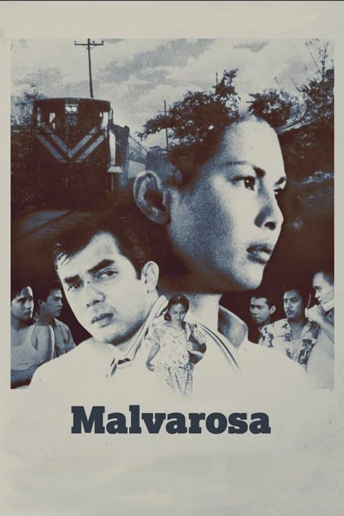 Malvarosa photo