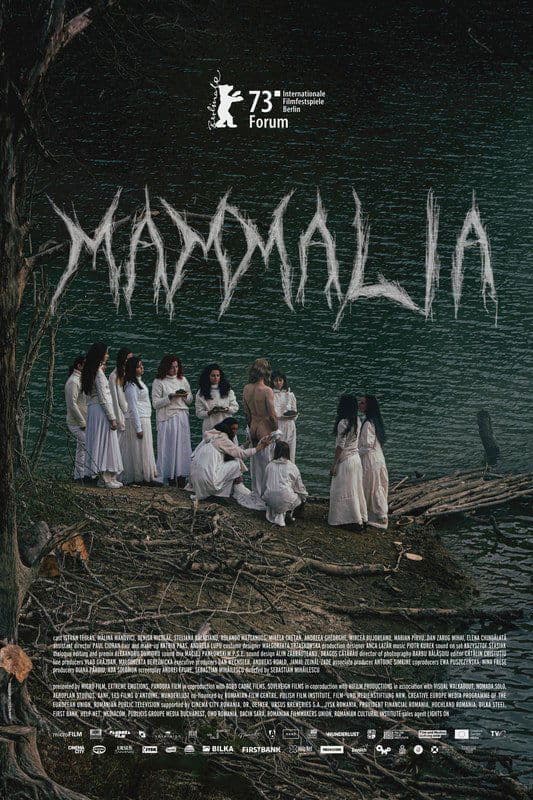 Mammalia photo