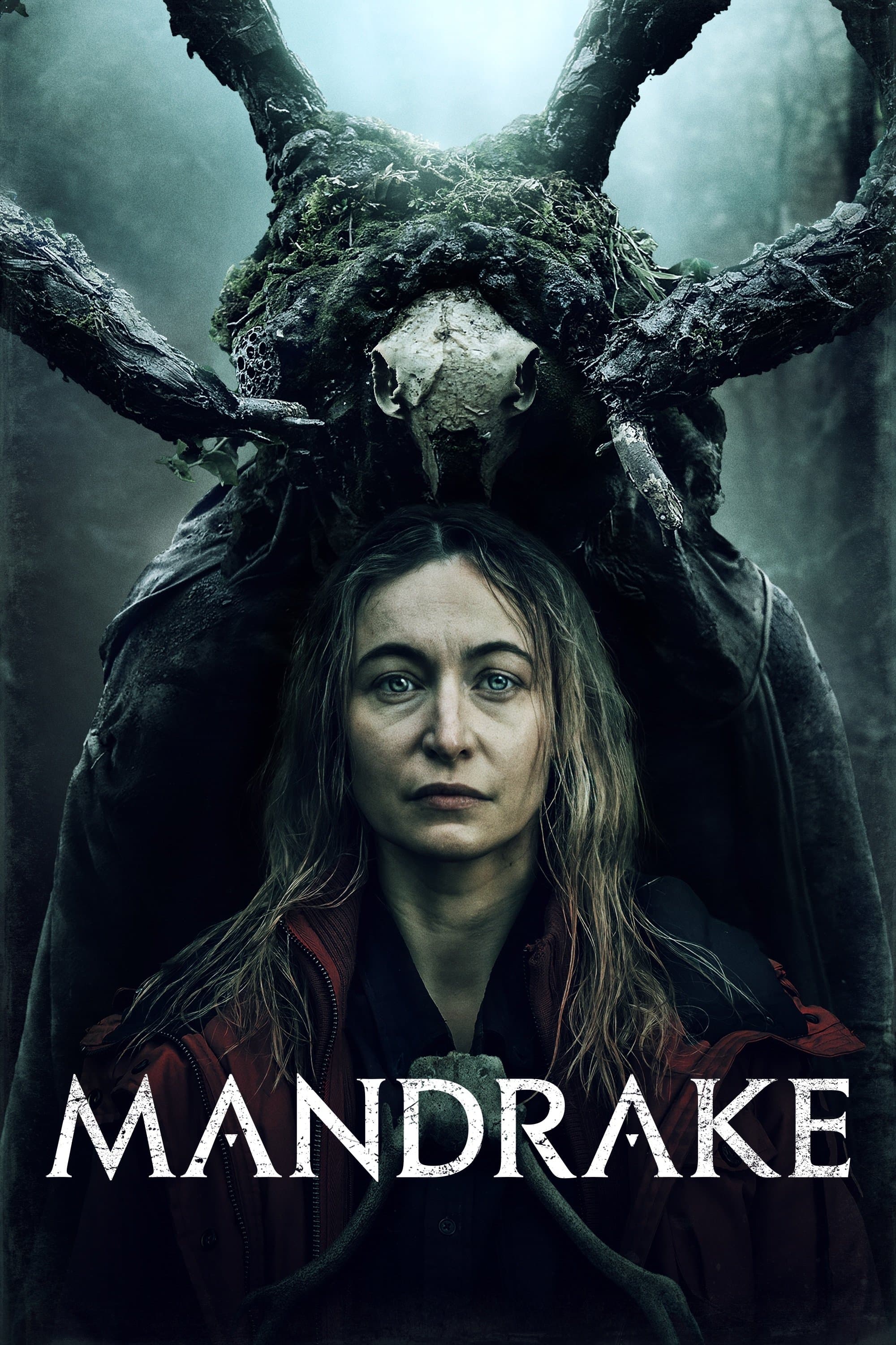 Mandrake photo
