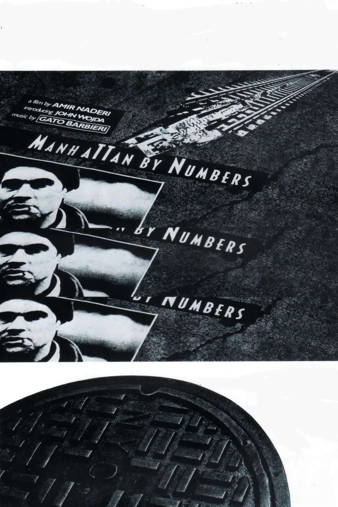 Manhattan by Numbers photo