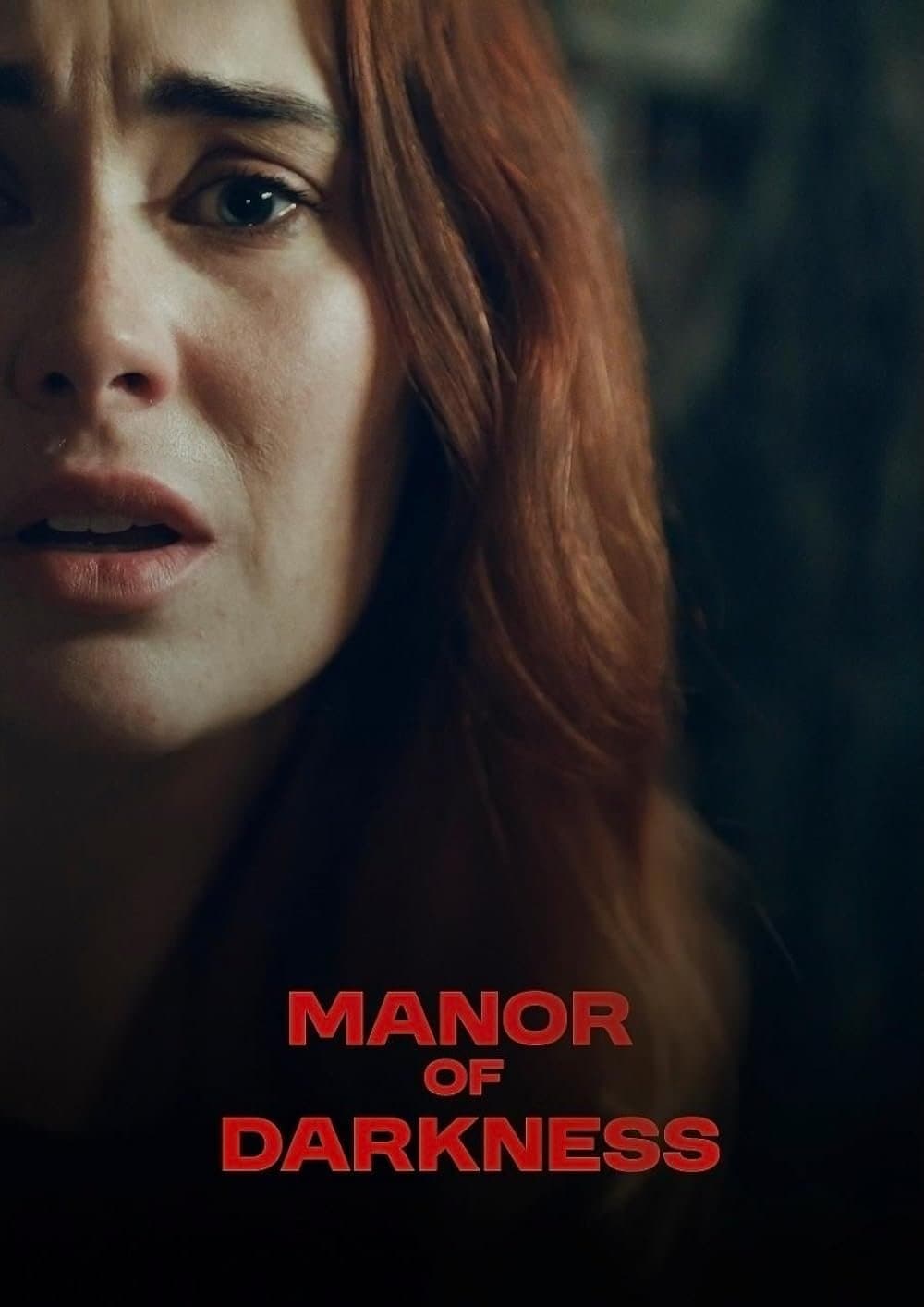 Manor of Darkness photo