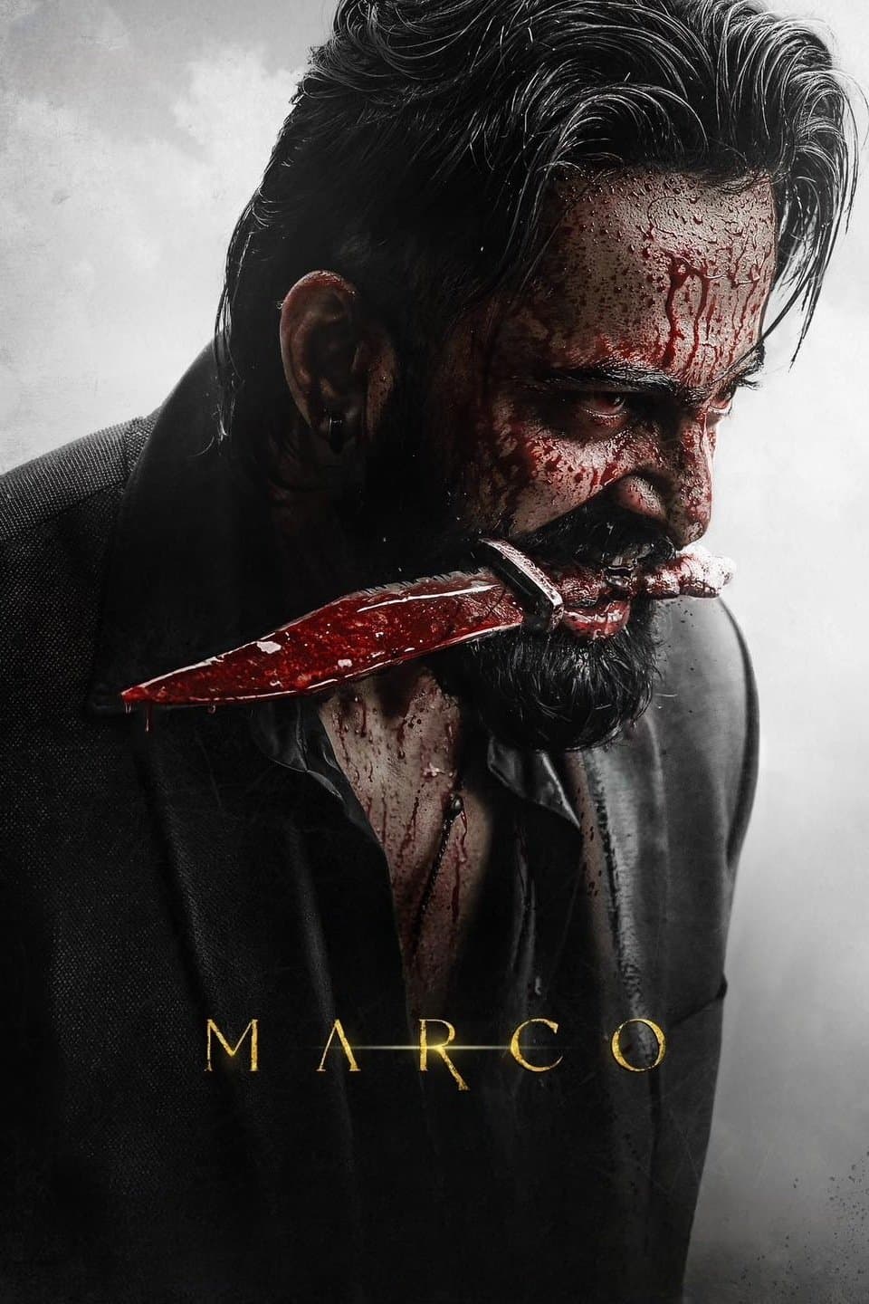 Marco photo