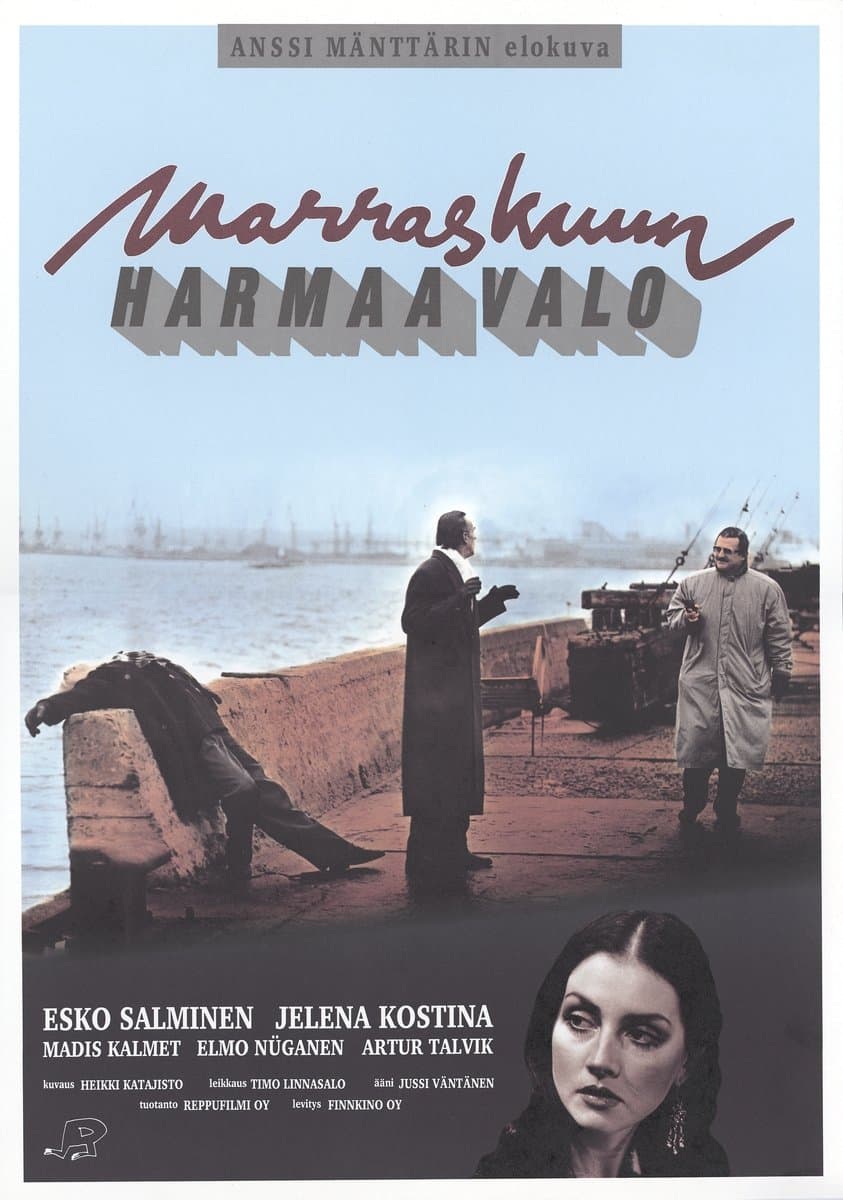Marraskuun harmaa valo photo