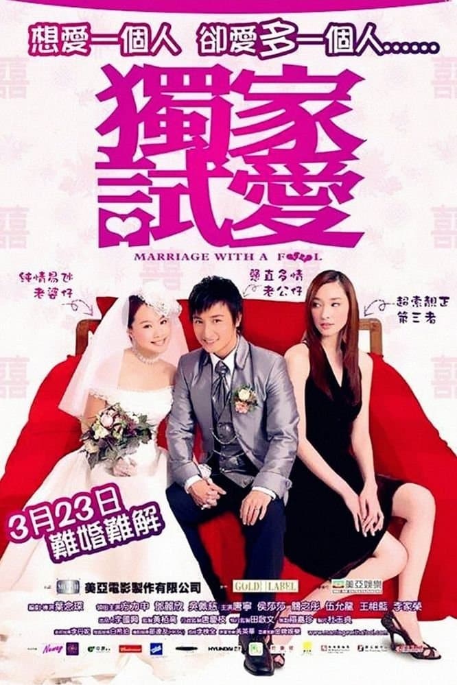 Marriage with a Fool photo