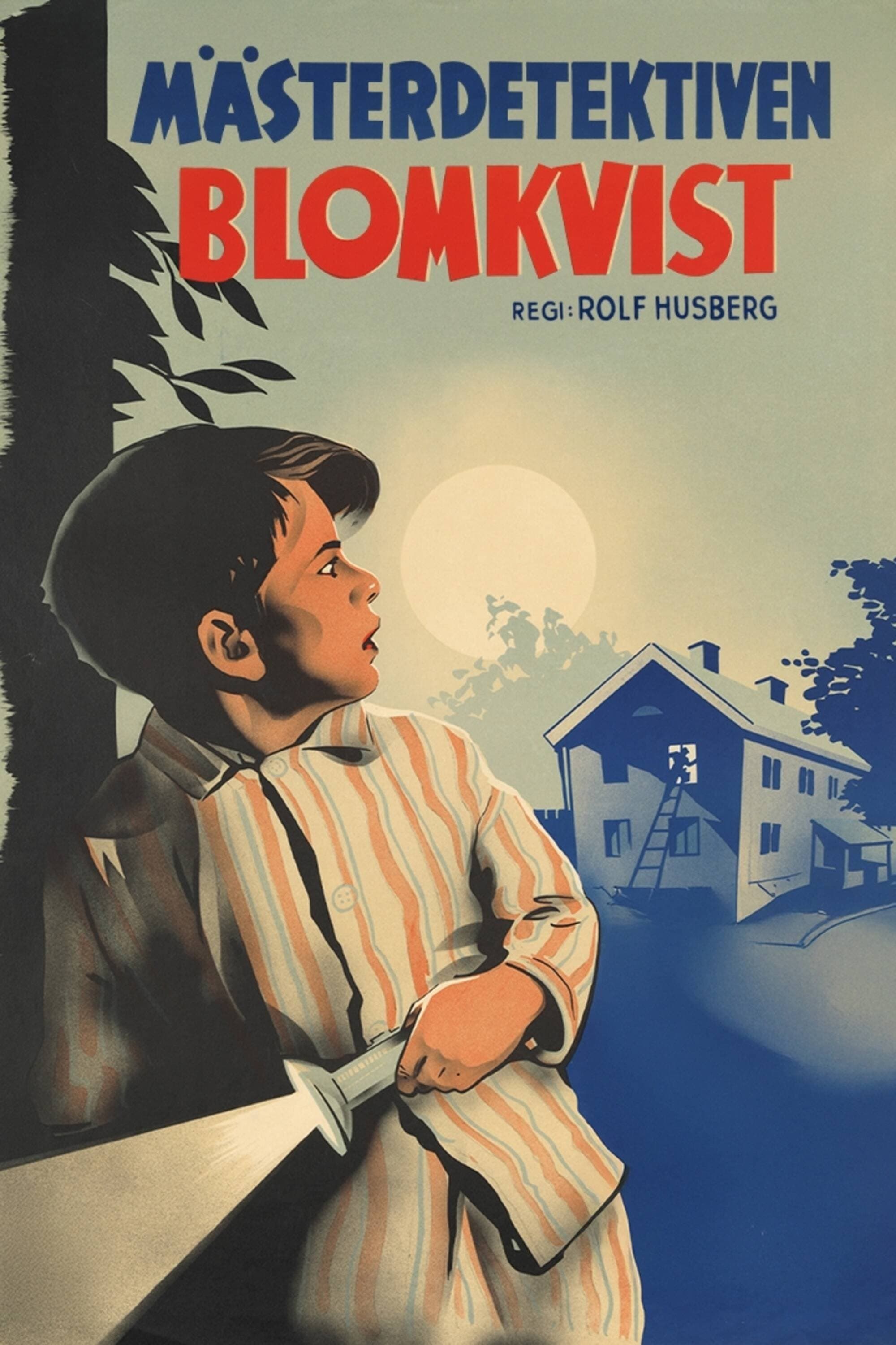 Master Detective Blomkvist photo