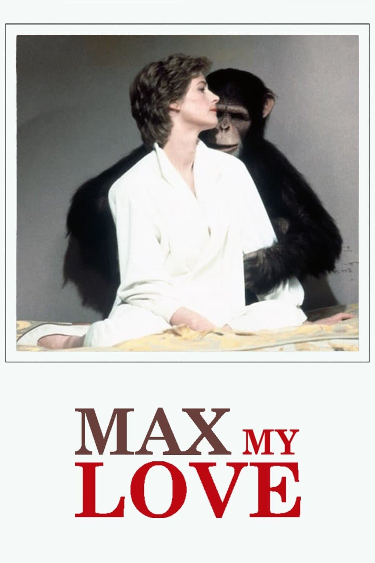 Max My Love photo