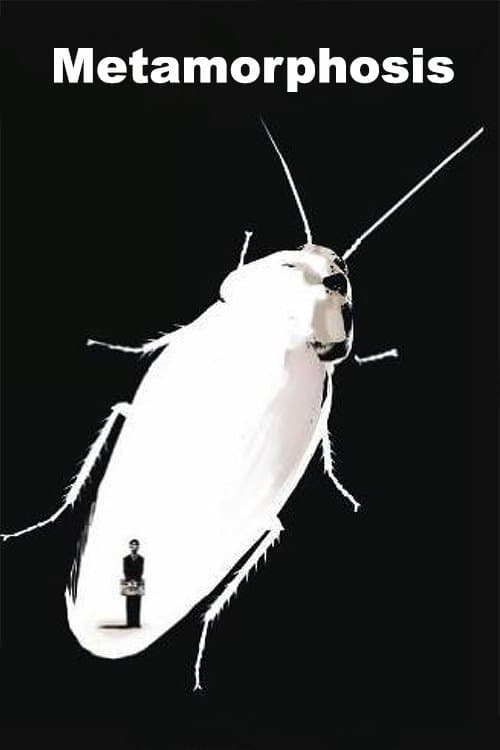 Metamorphosis photo