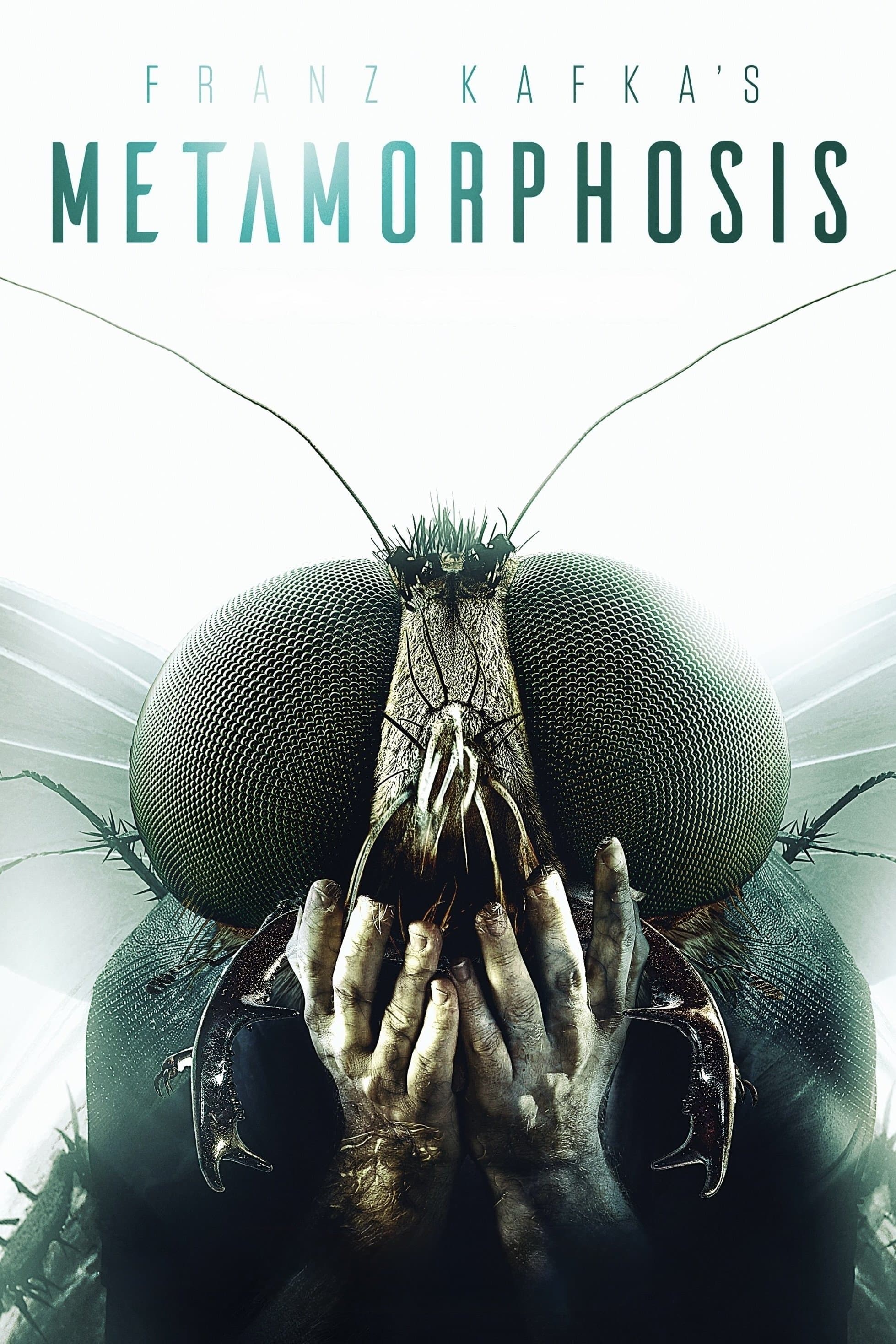Metamorphosis photo