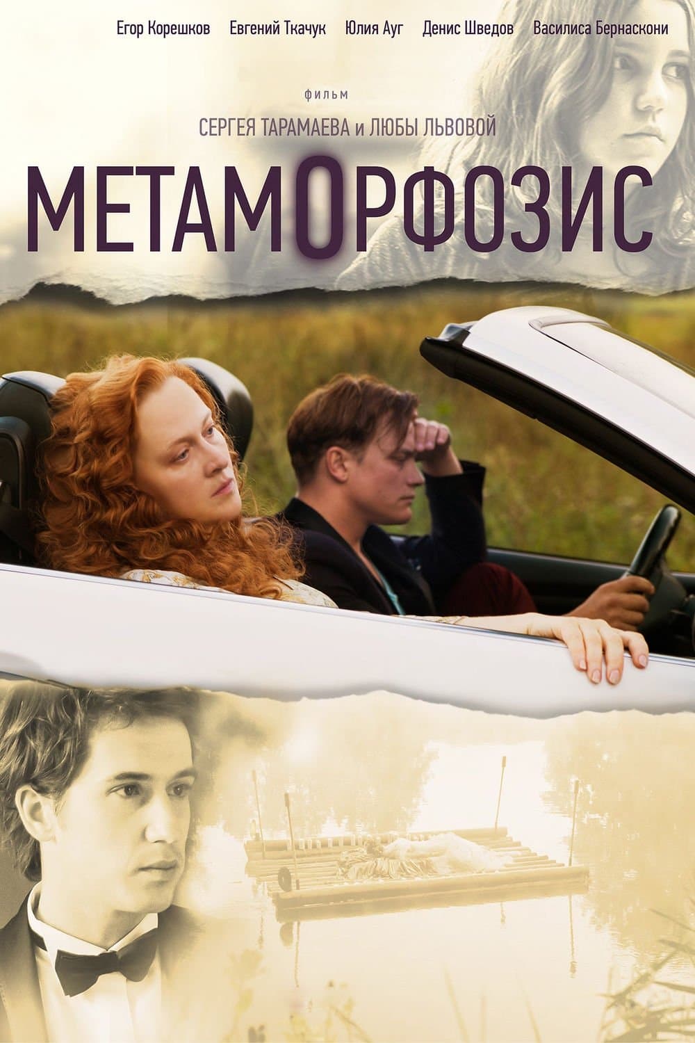 Metamorphosis photo