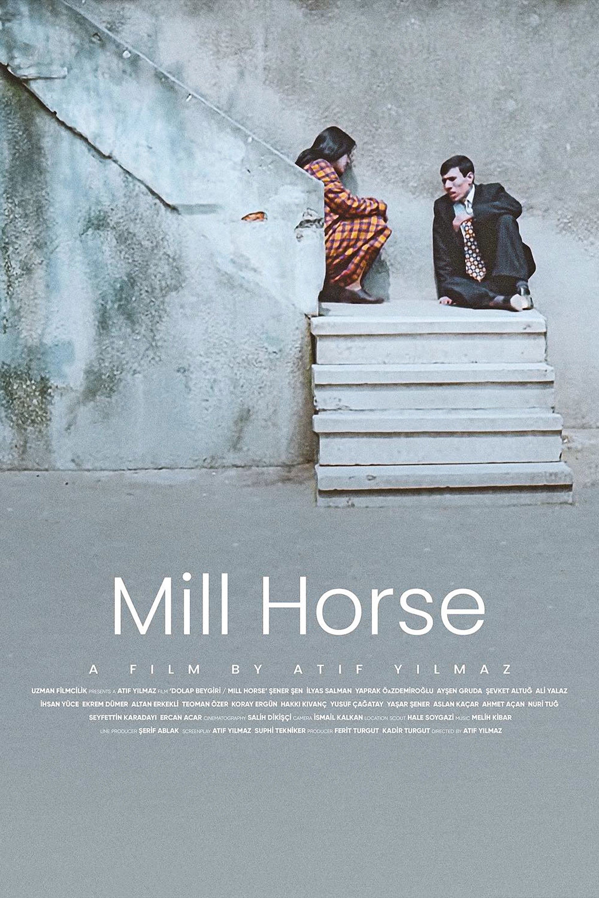 Mill Horse photo