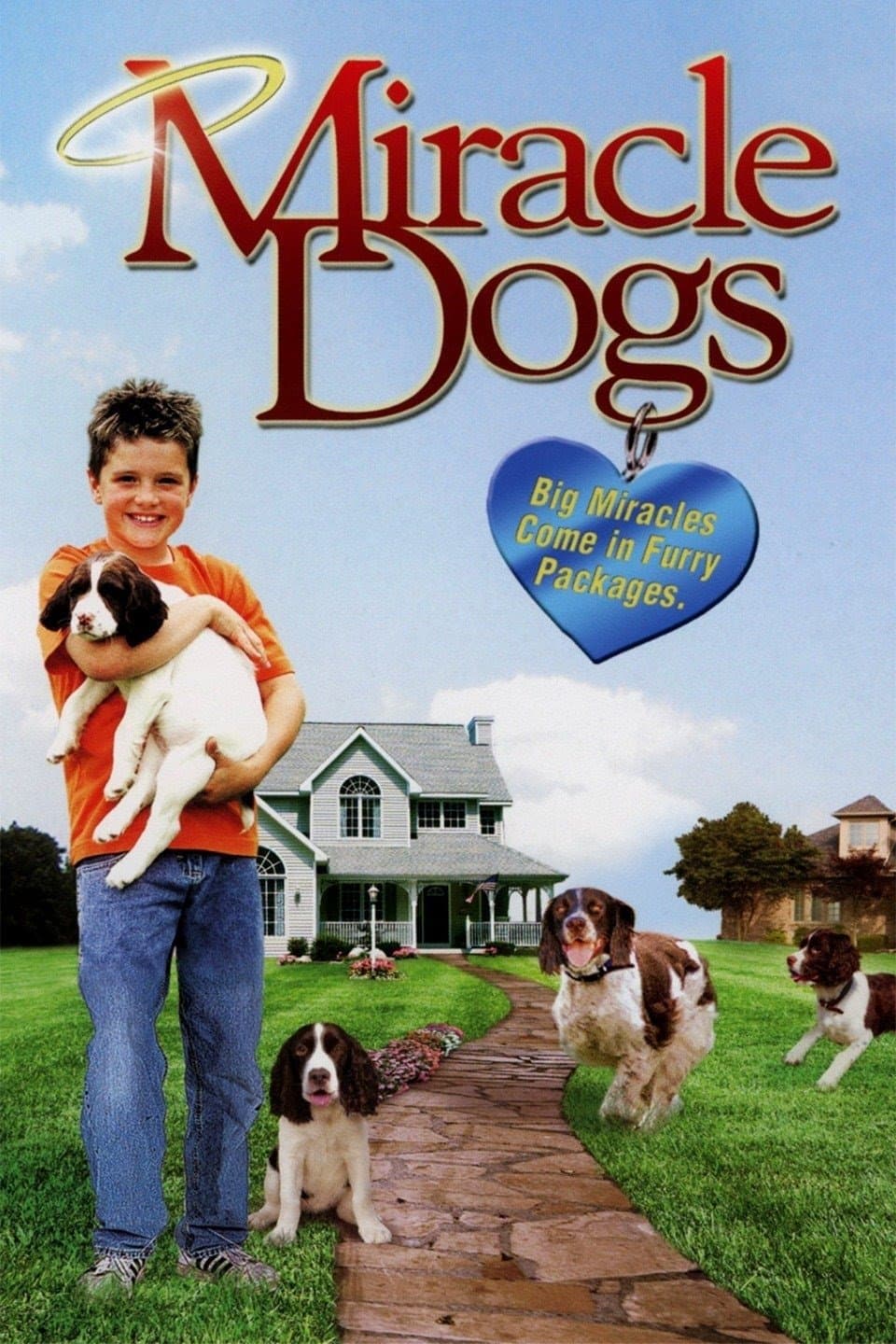 Miracle Dogs photo