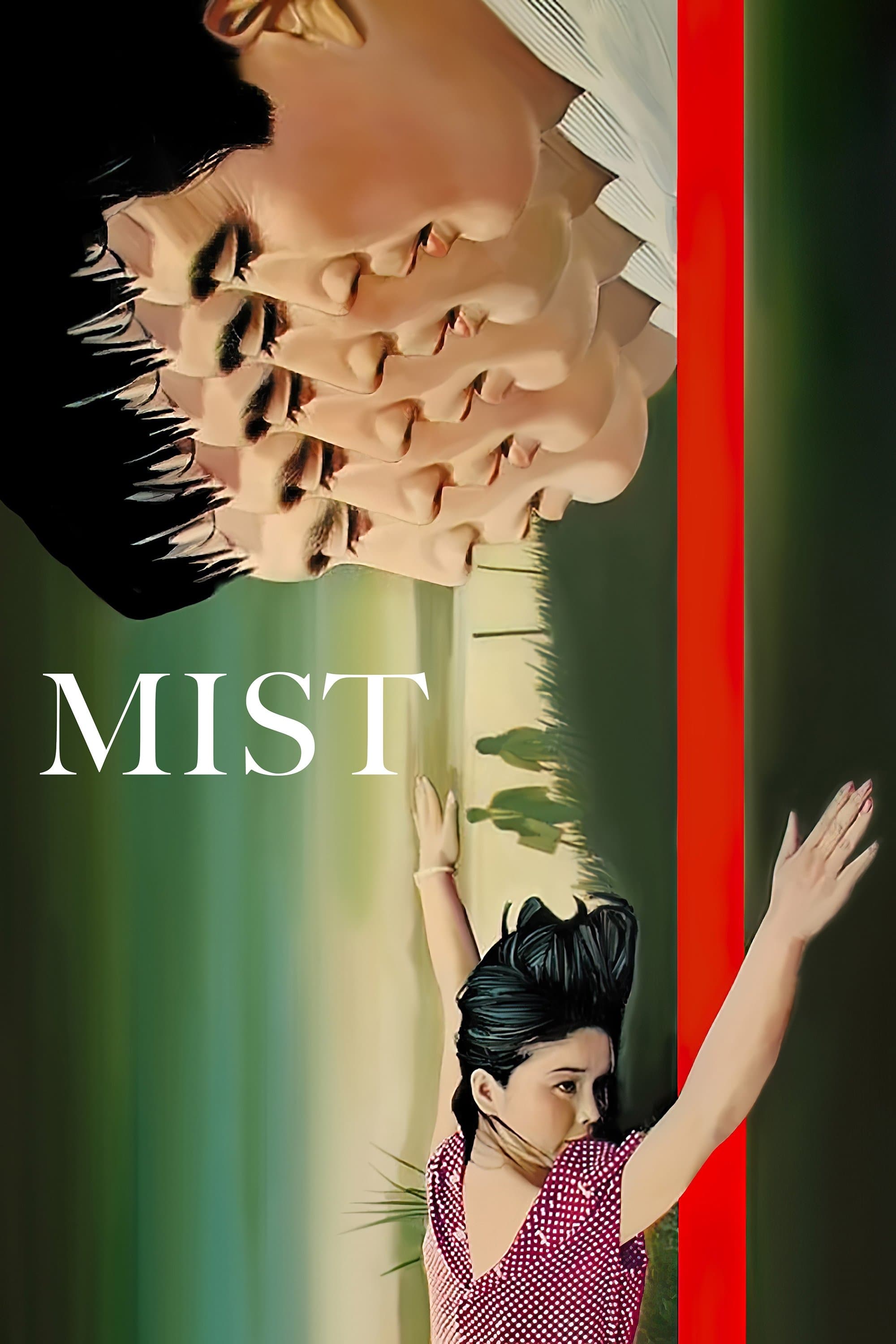 Mist photo