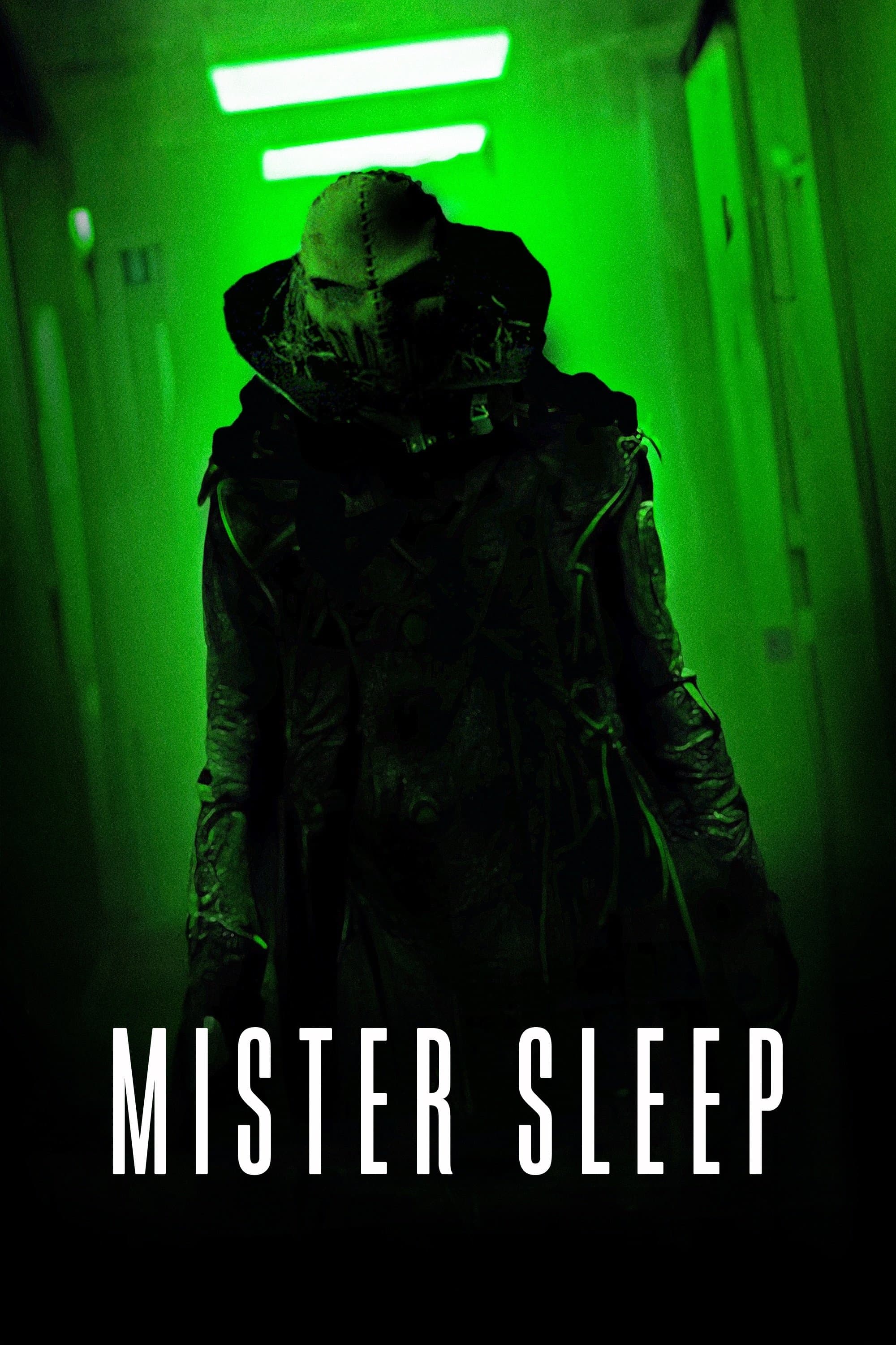 Mister Sleep photo