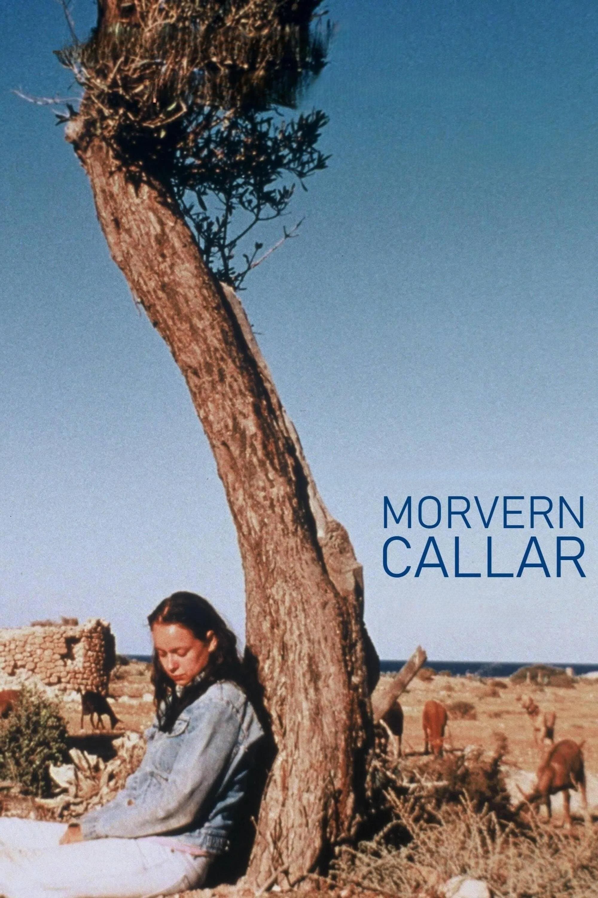 Morvern Callar photo