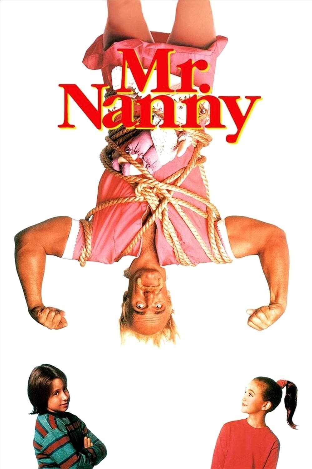 Mr. Nanny photo