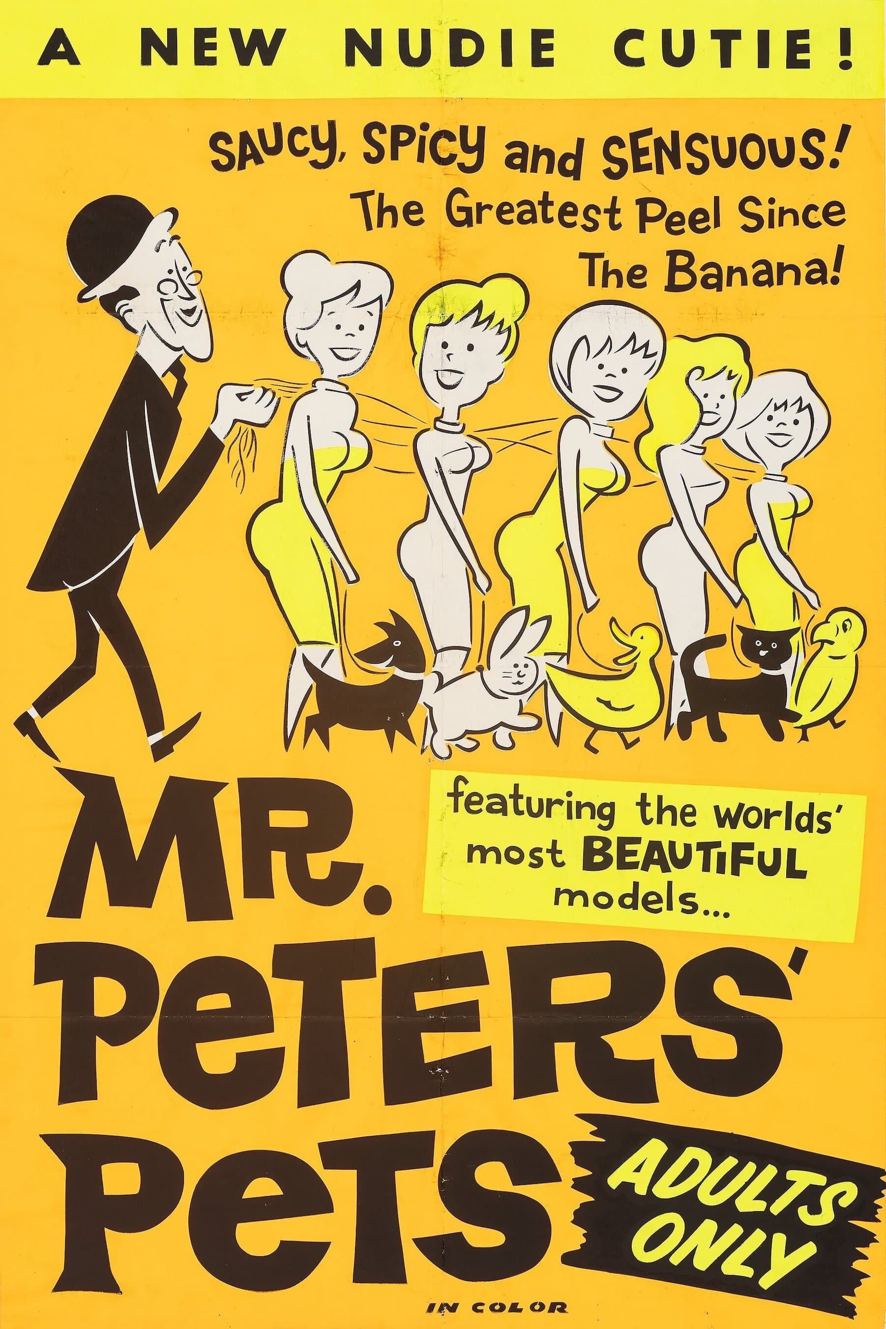 Mr. Peters' Pets photo