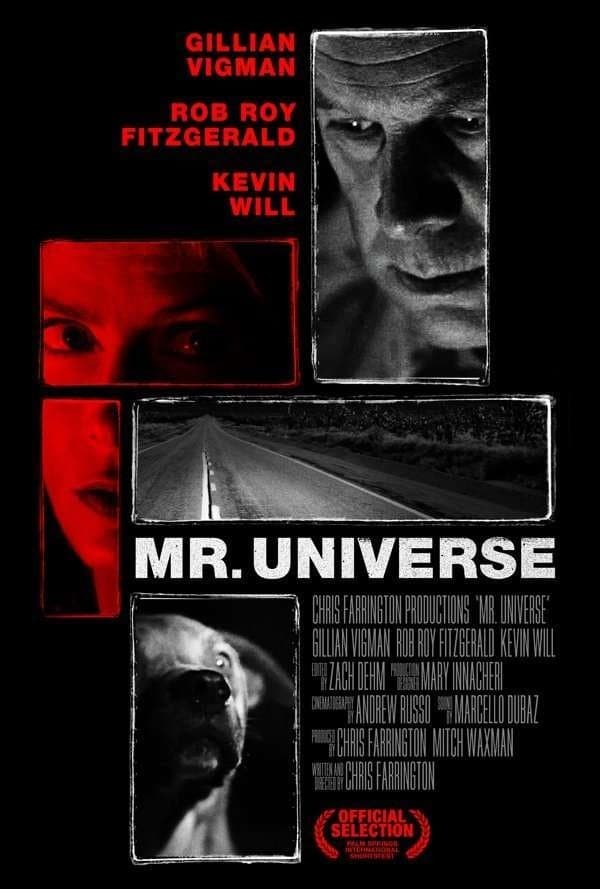 Mr. Universe photo