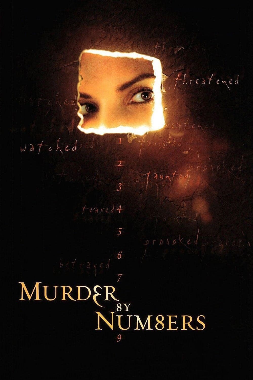 Murder by Numbers photo