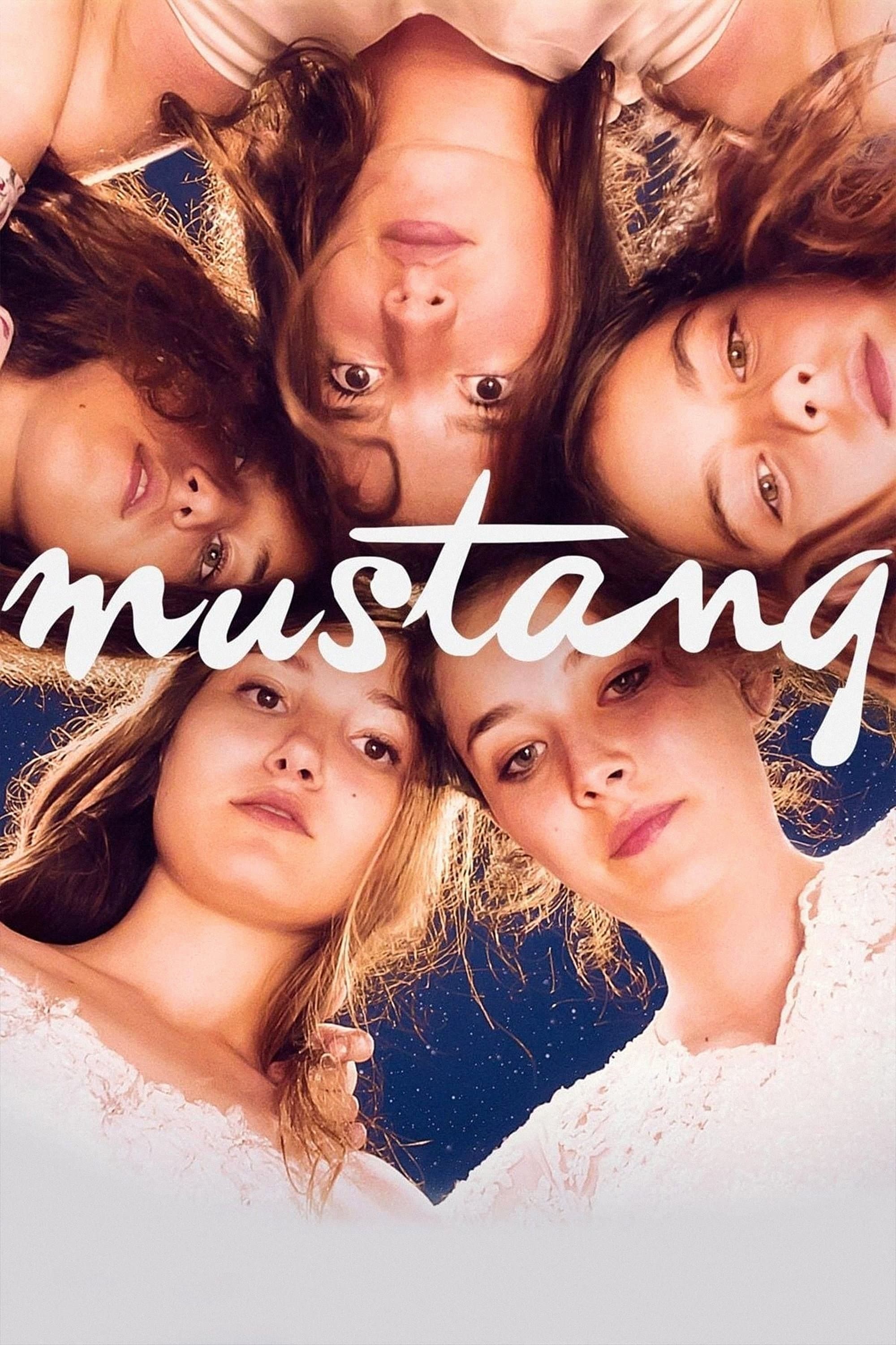 Mustang photo