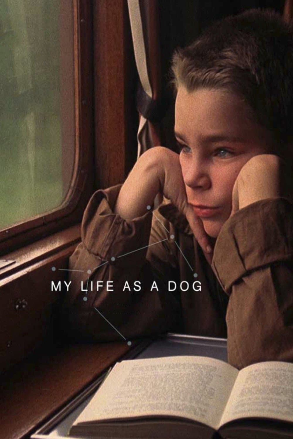 My Life as a Dog photo