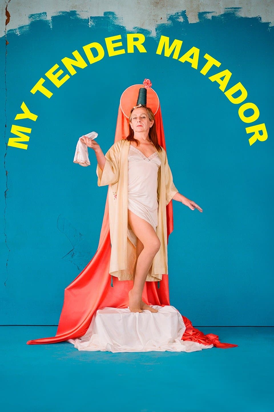 My Tender Matador photo