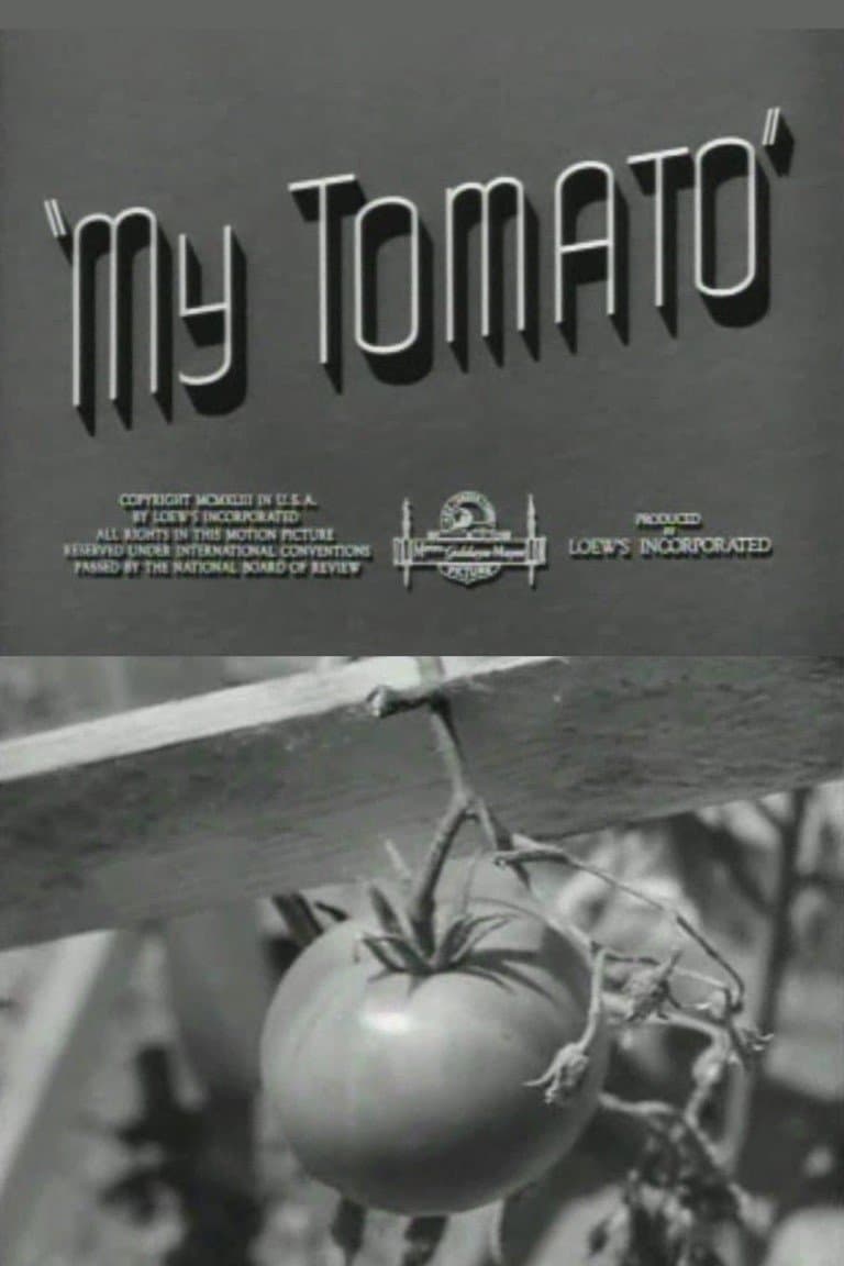 My Tomato photo