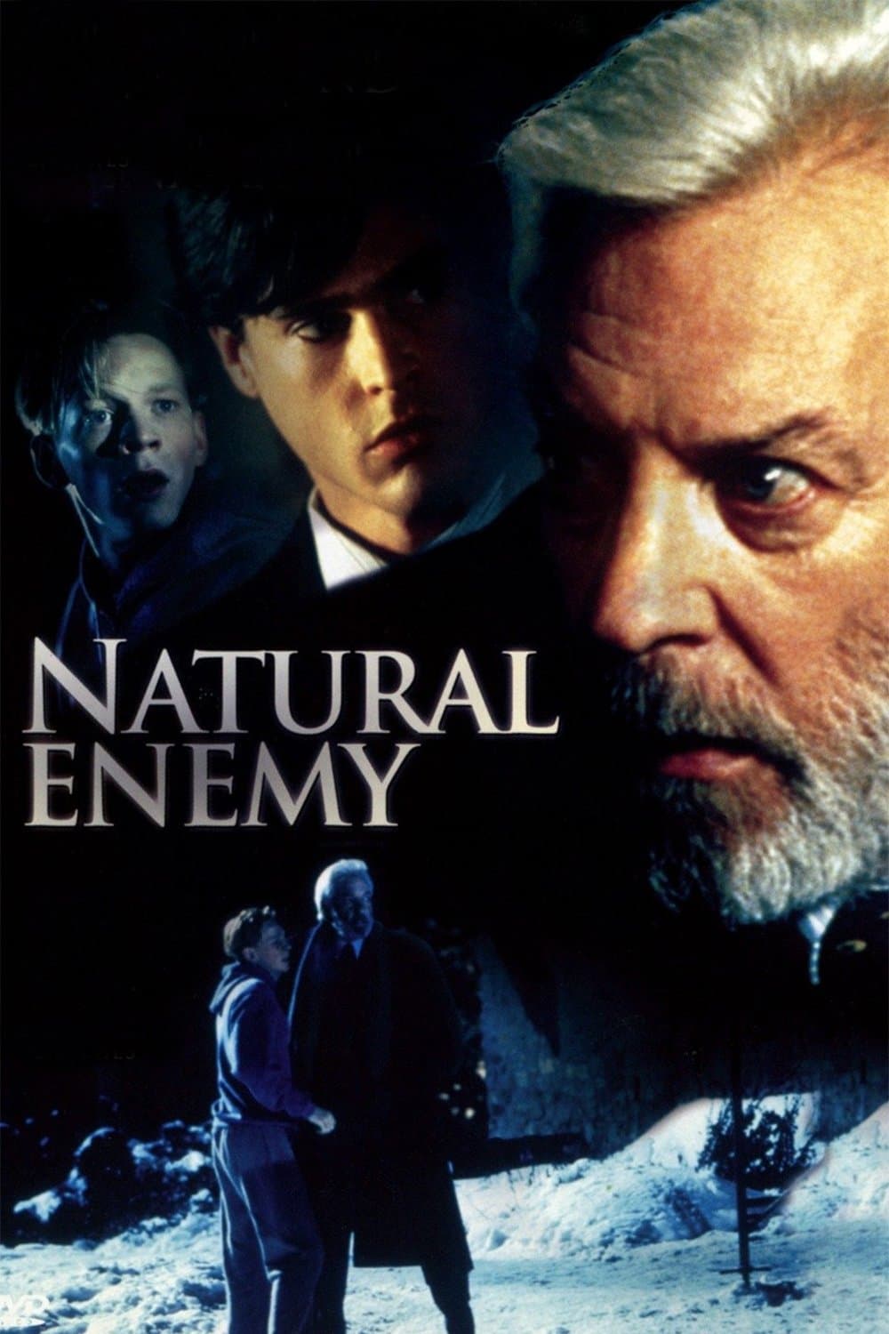 Natural Enemy photo
