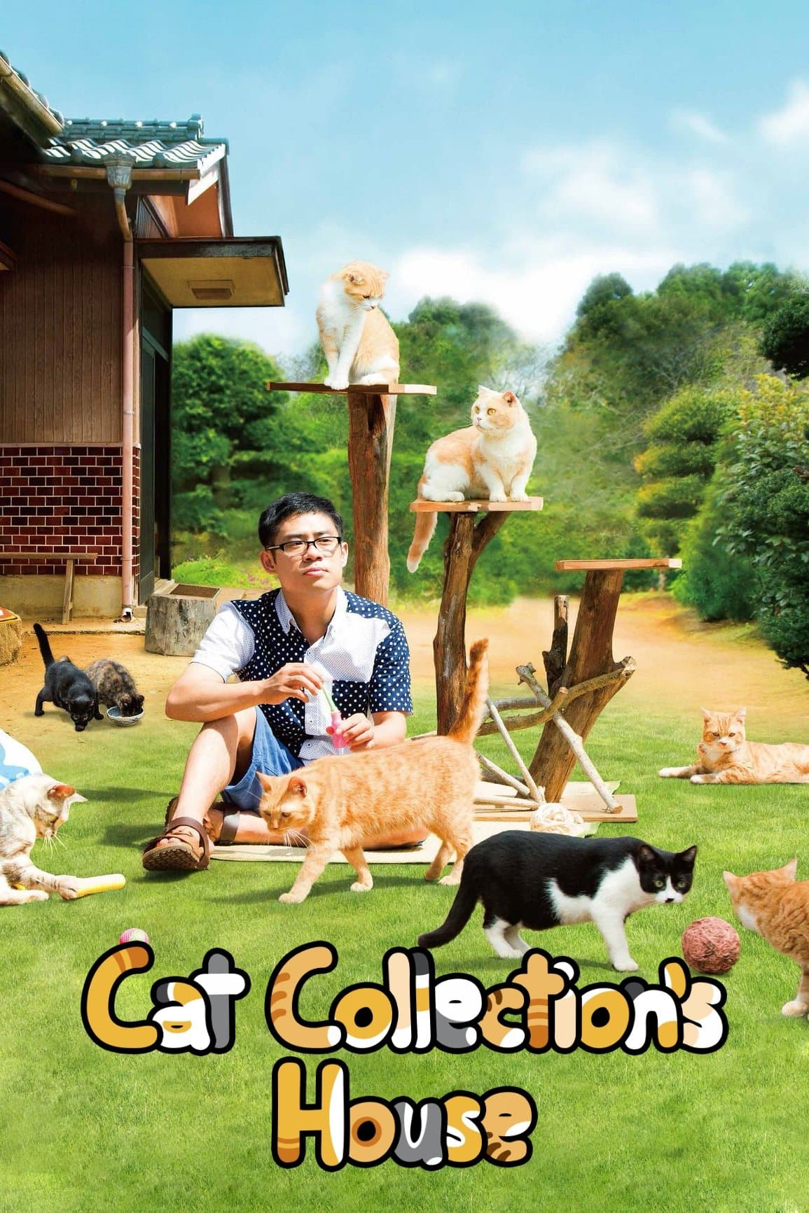 Neko Atsume House photo