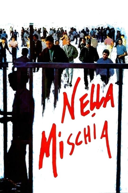 Nella mischia photo