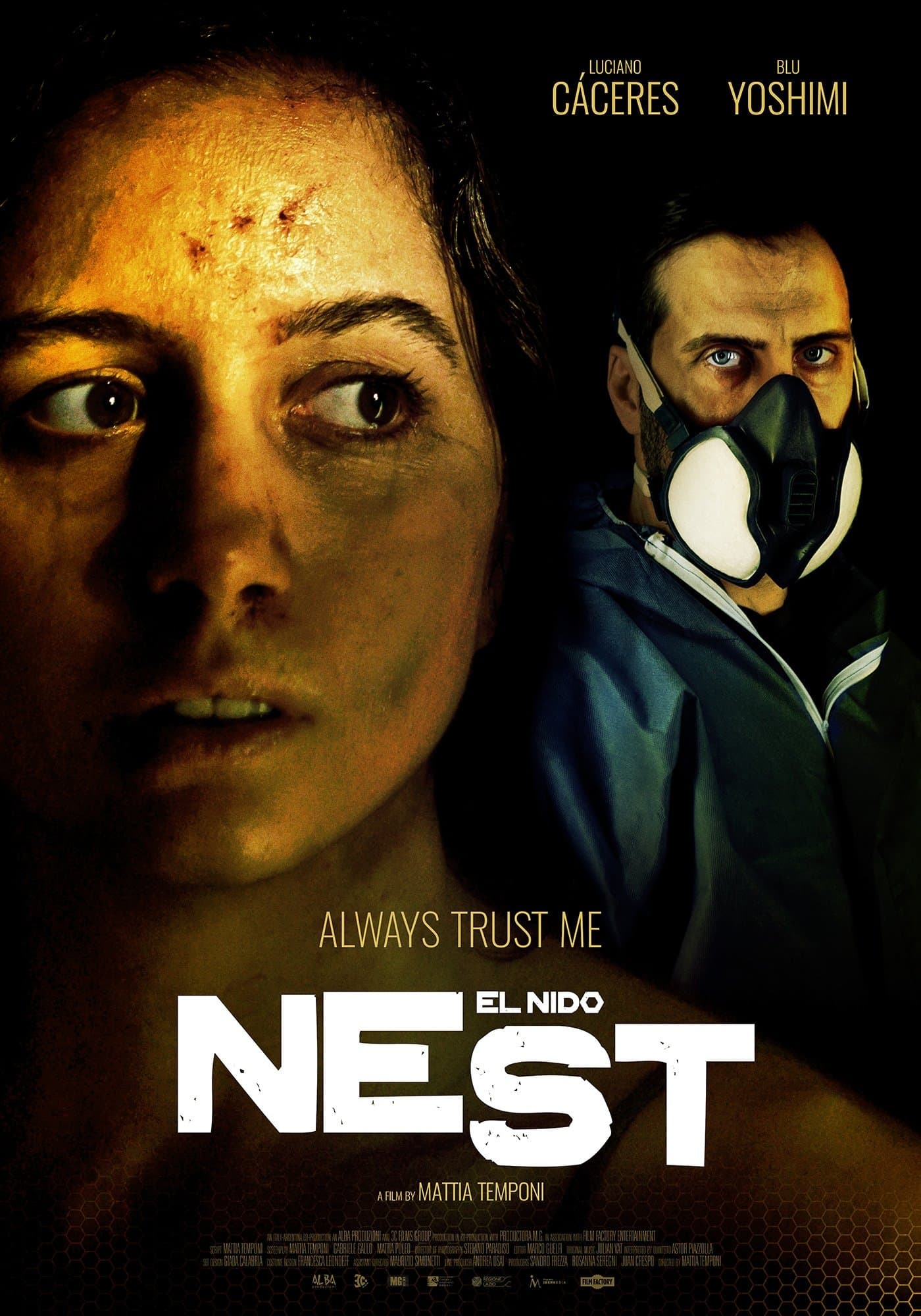 Nest photo