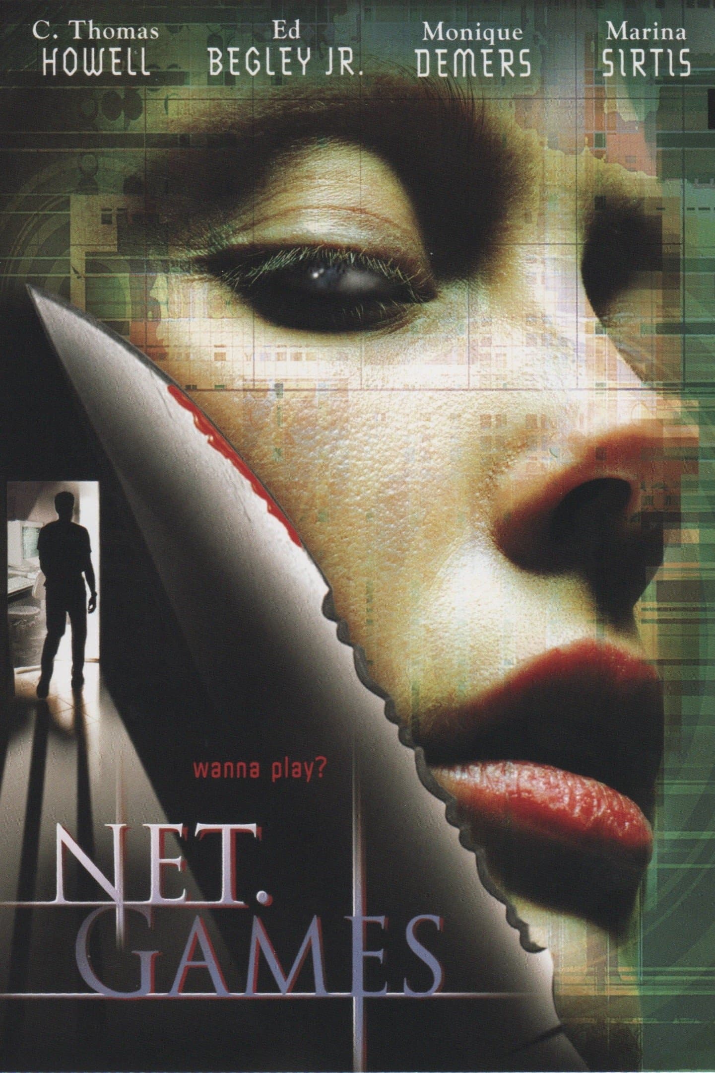 Net Games photo