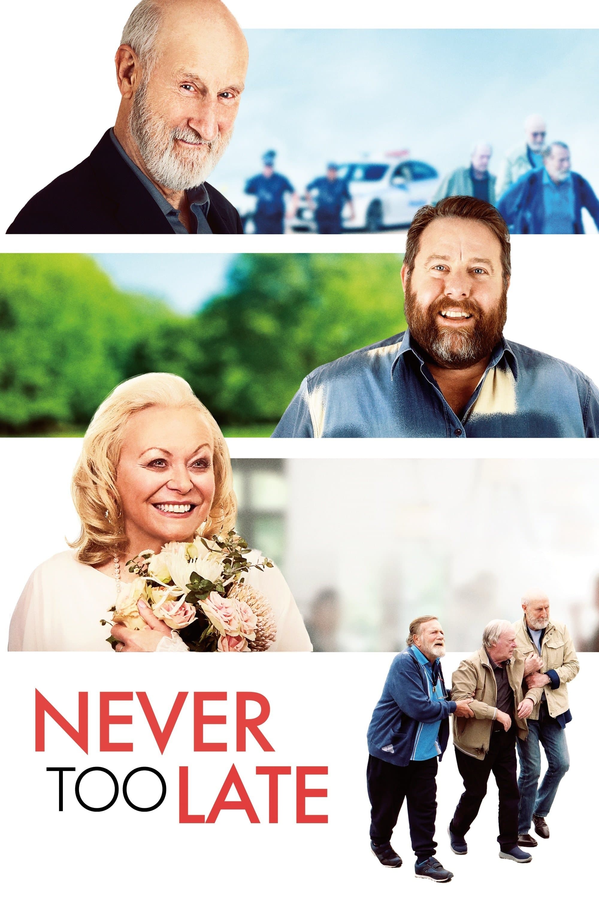 Never Too Late photo