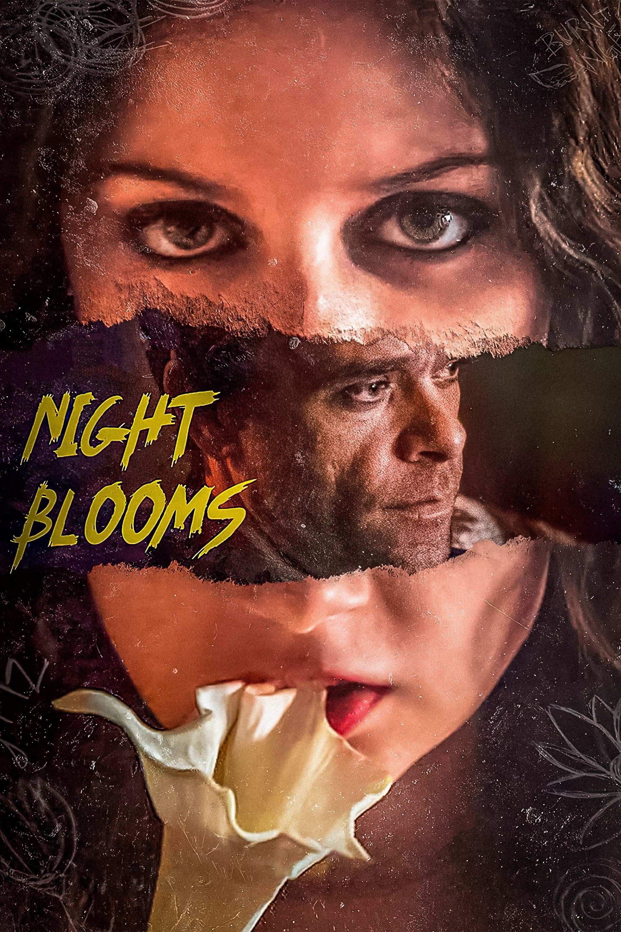Night Blooms photo