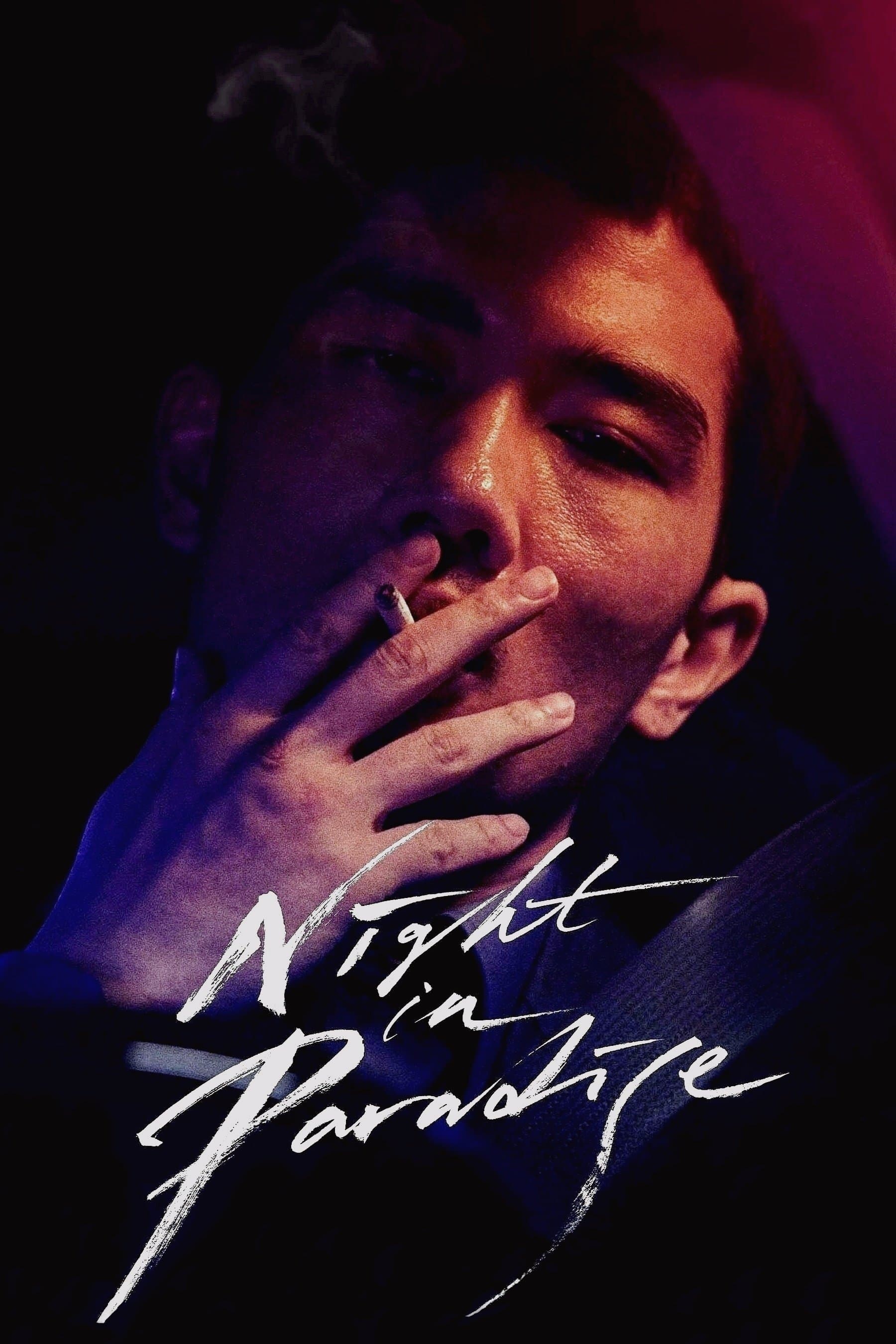 Night in Paradise photo