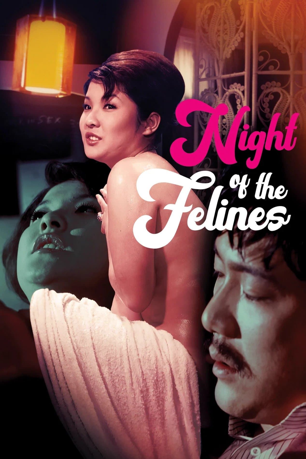 Night of the Felines photo