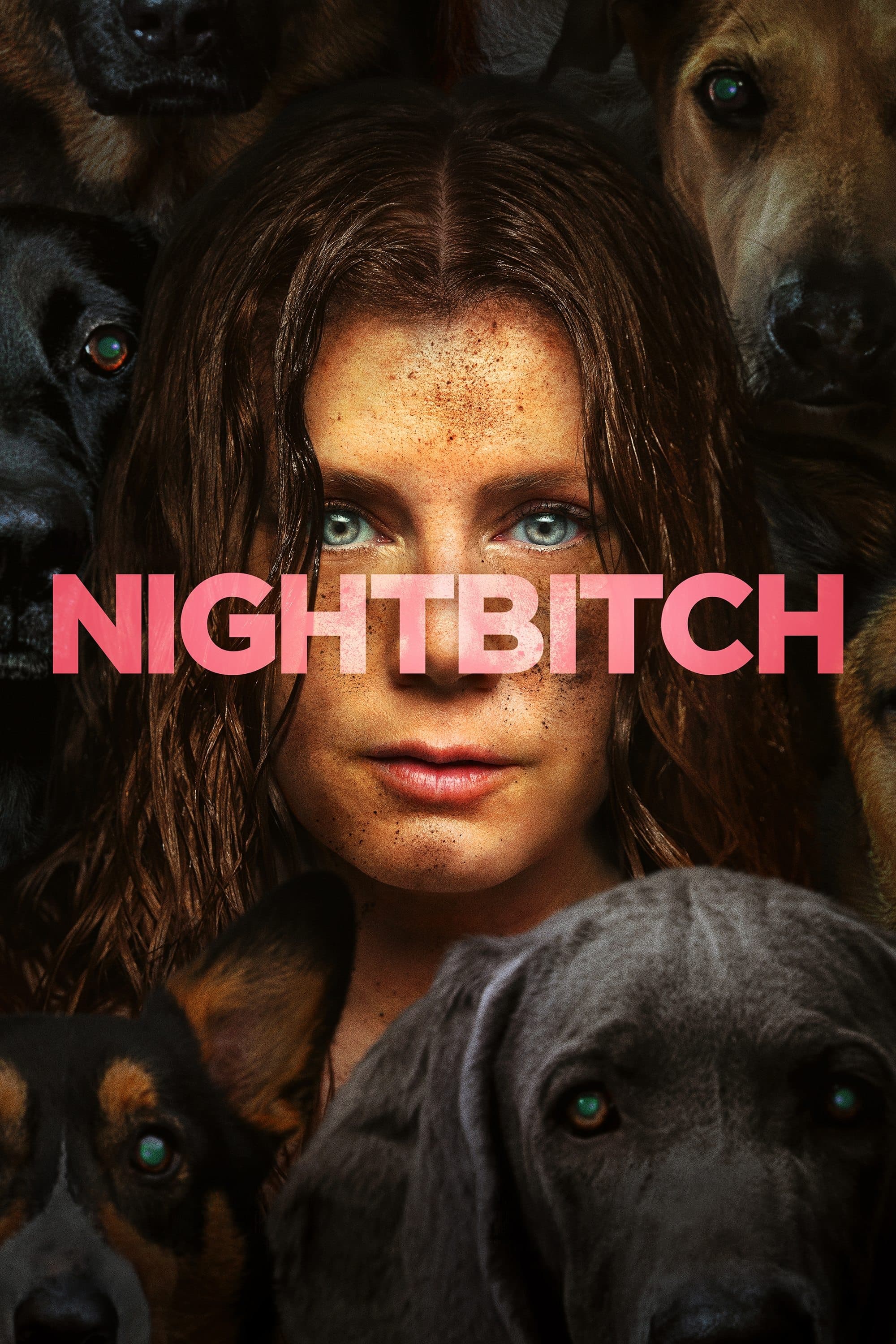 Nightbitch photo