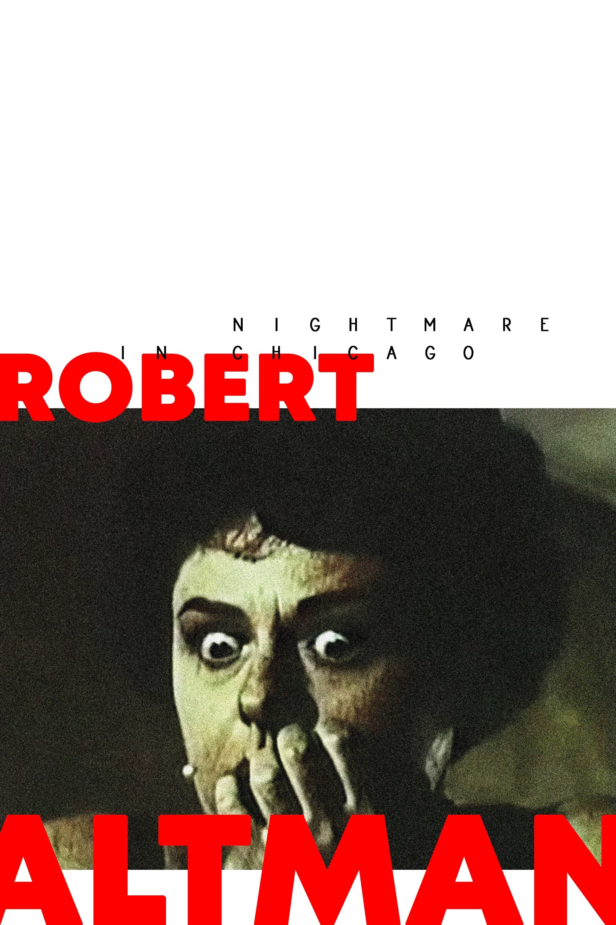 Nightmare in Chicago photo
