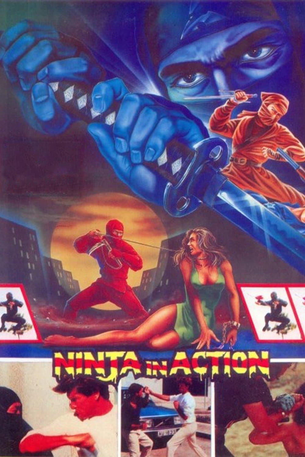 Ninja in Action photo