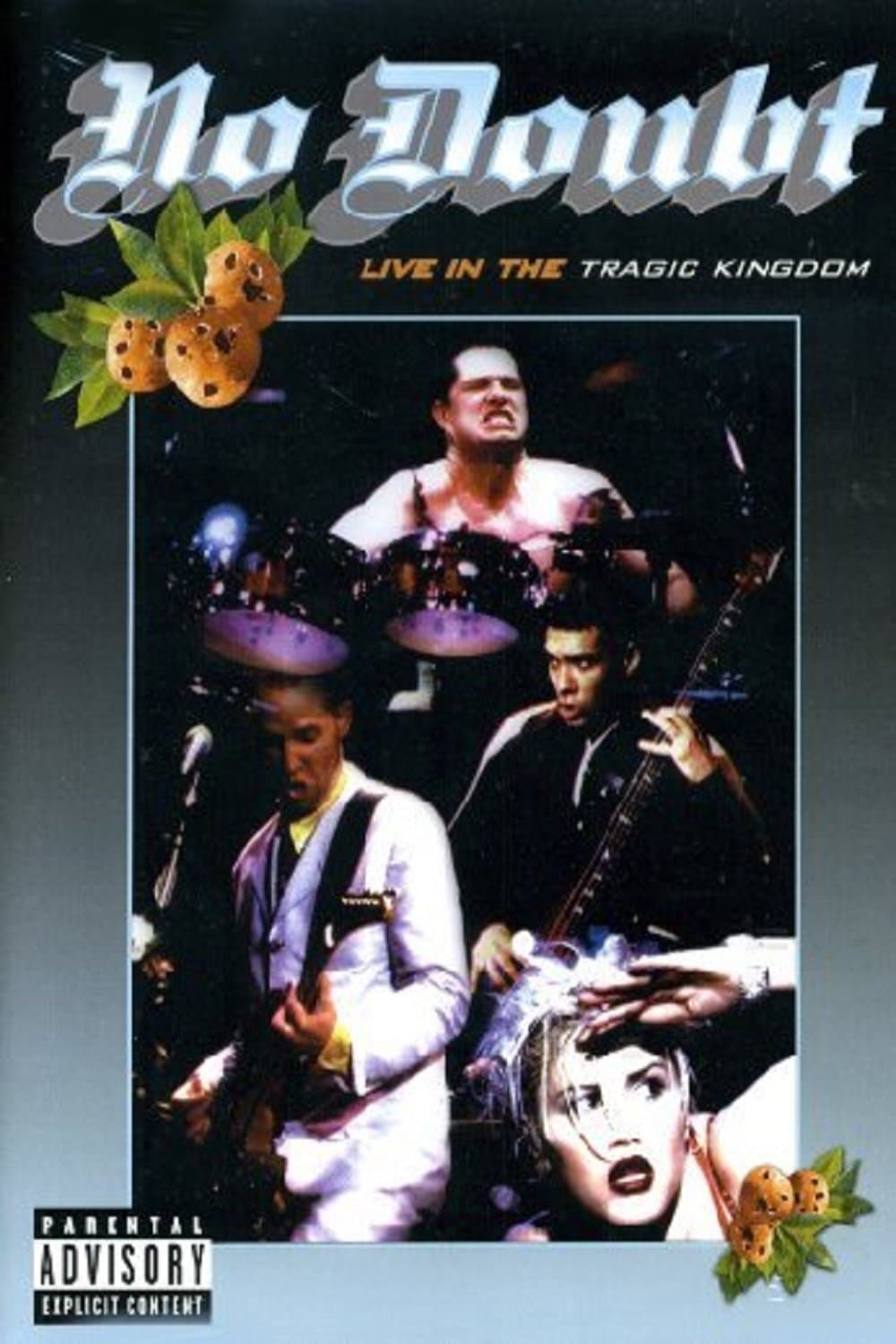 No Doubt - Live In The Tragic Kingdom photo