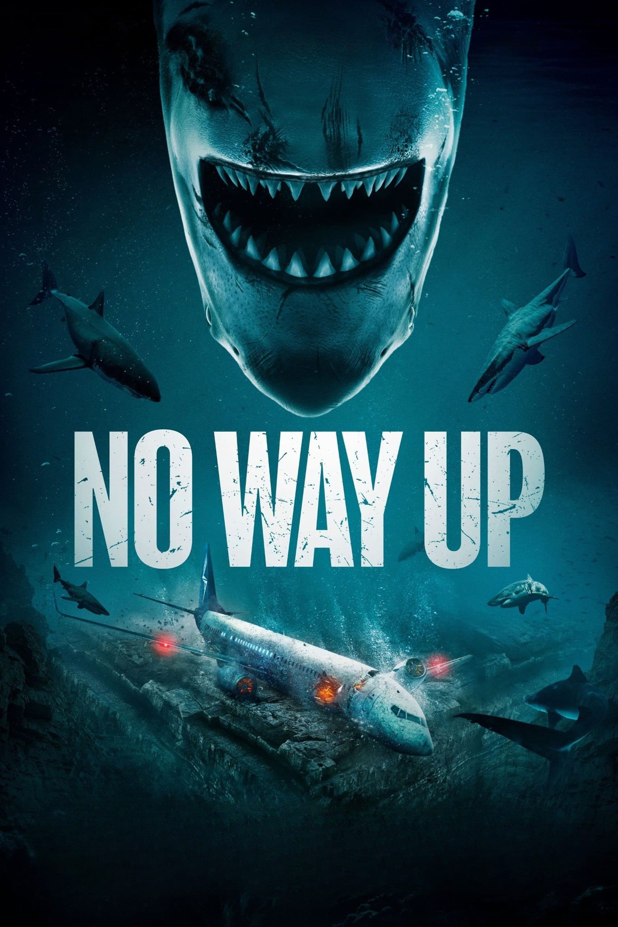 No Way Up photo