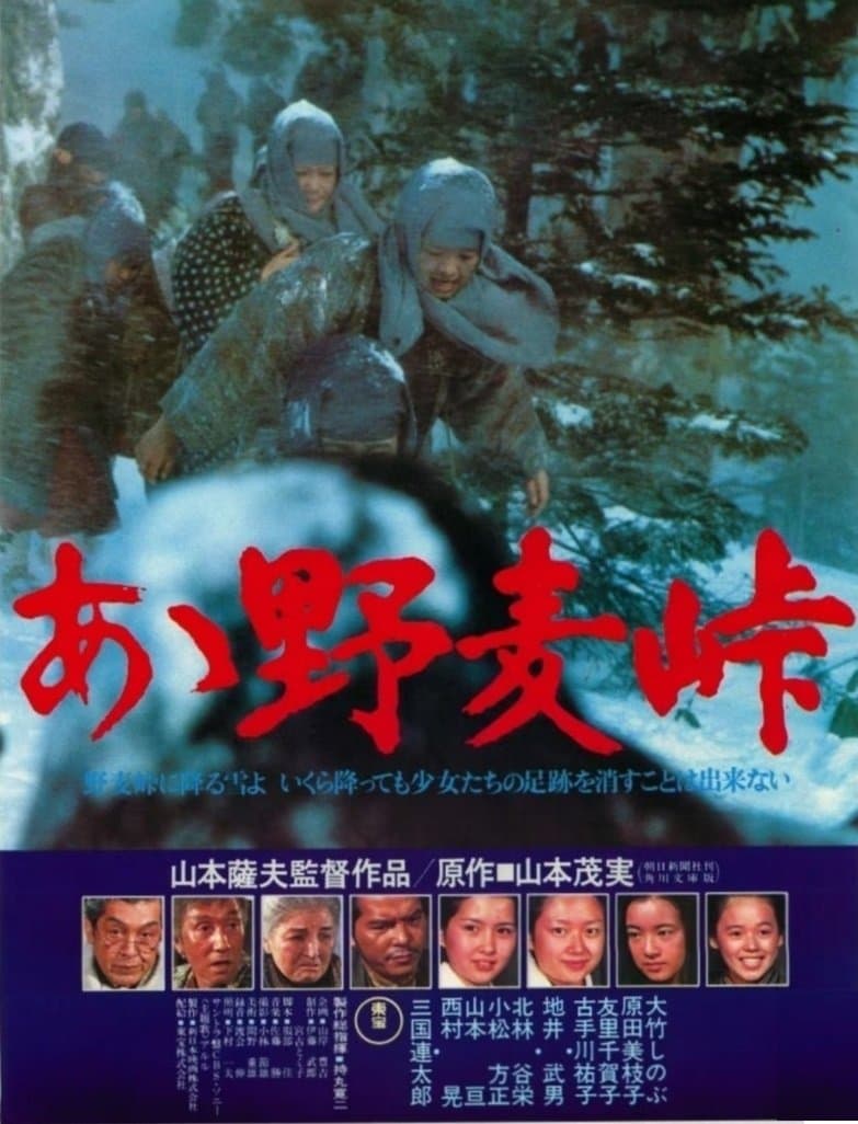 Nomugi Pass photo