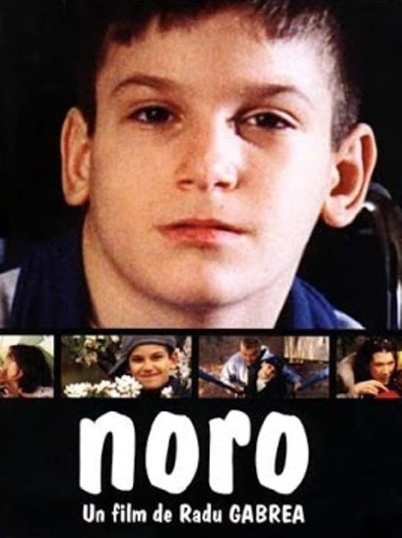 Noro photo